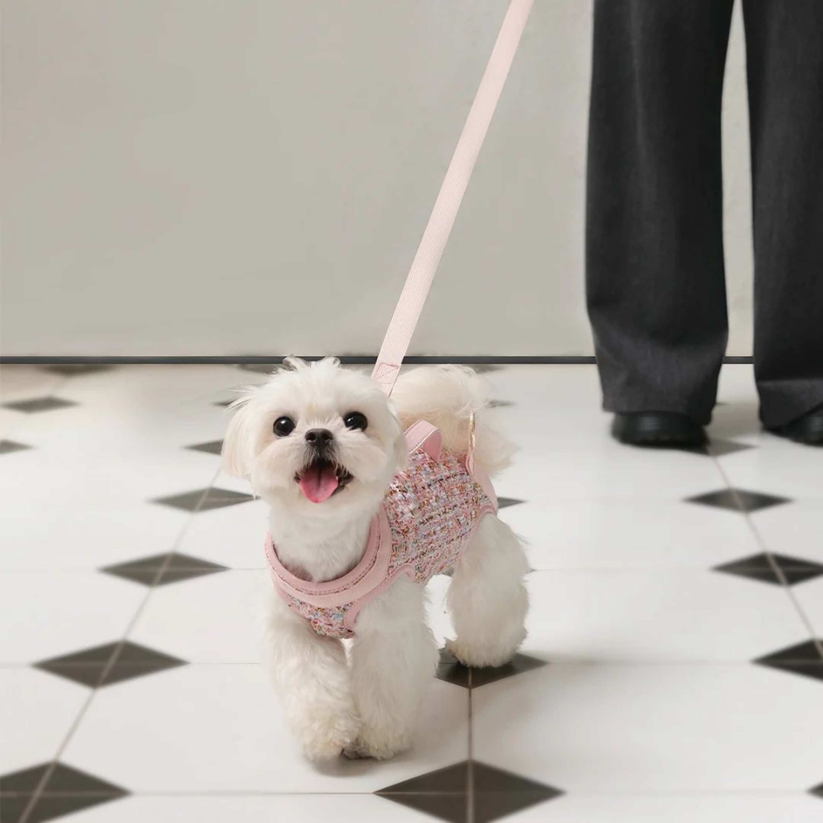 Set de Ropa Diseñada Multifuncional para Perros