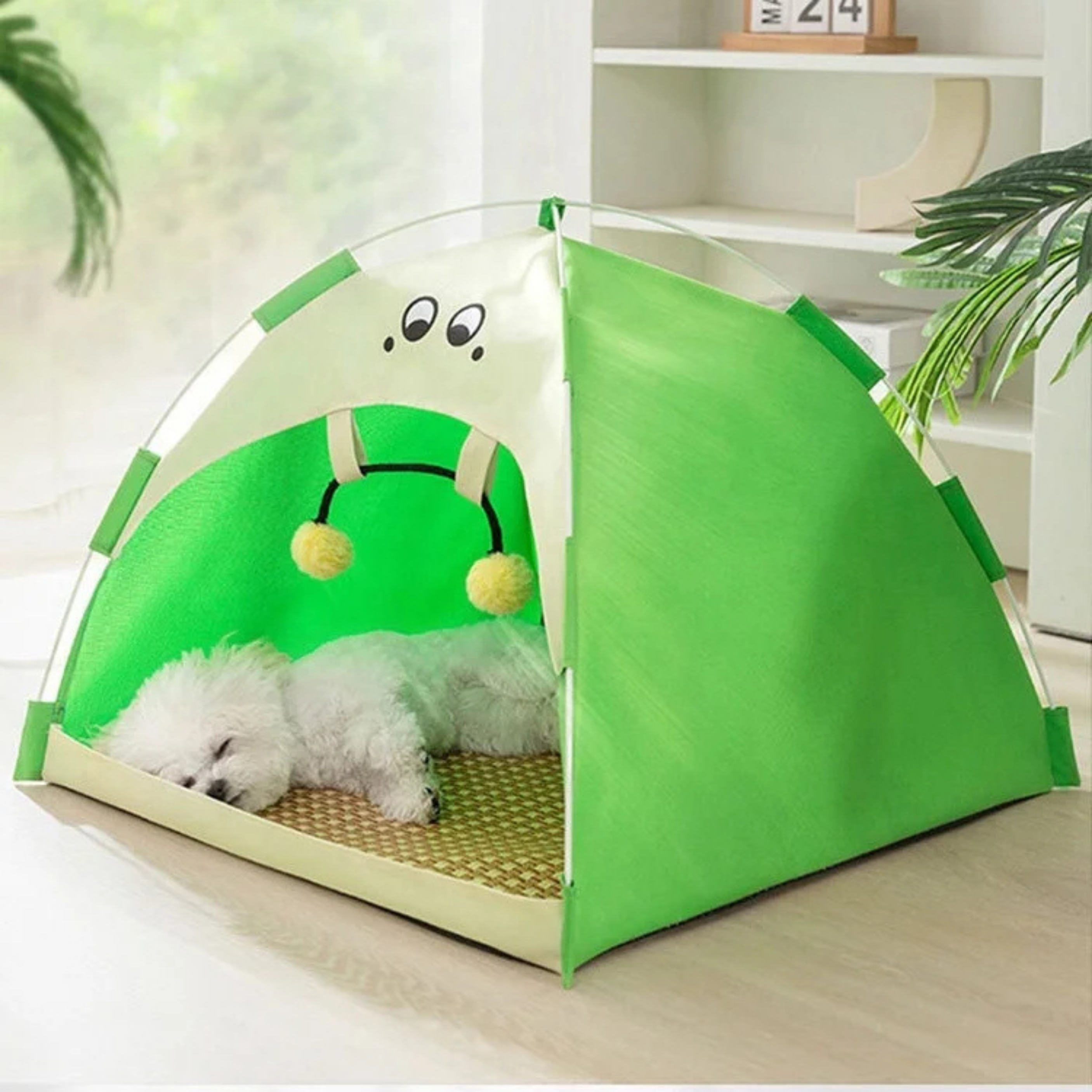 Tienda Estacional para Mascotas