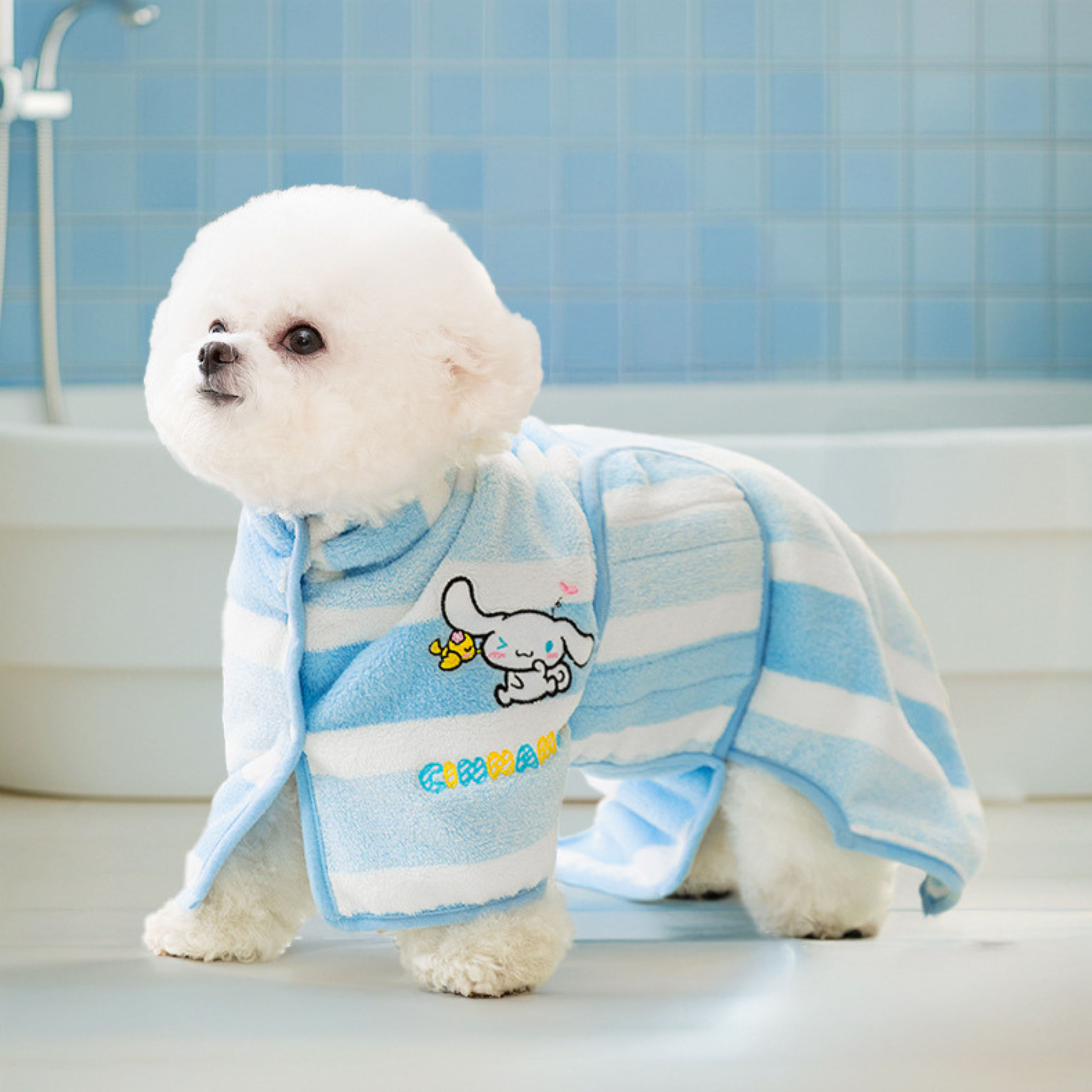 Maltepoodle