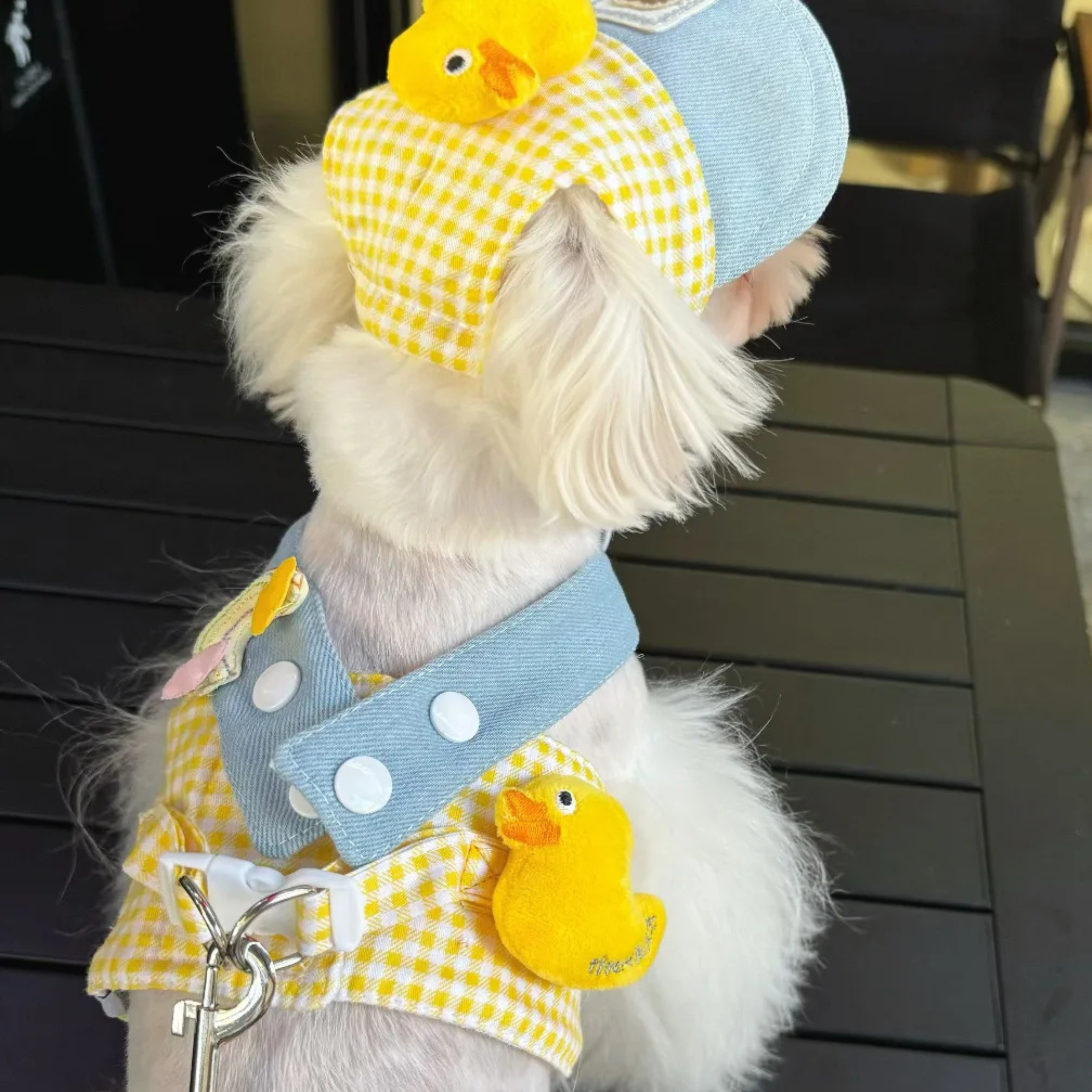 Set de Disfraces Adorables para Perros