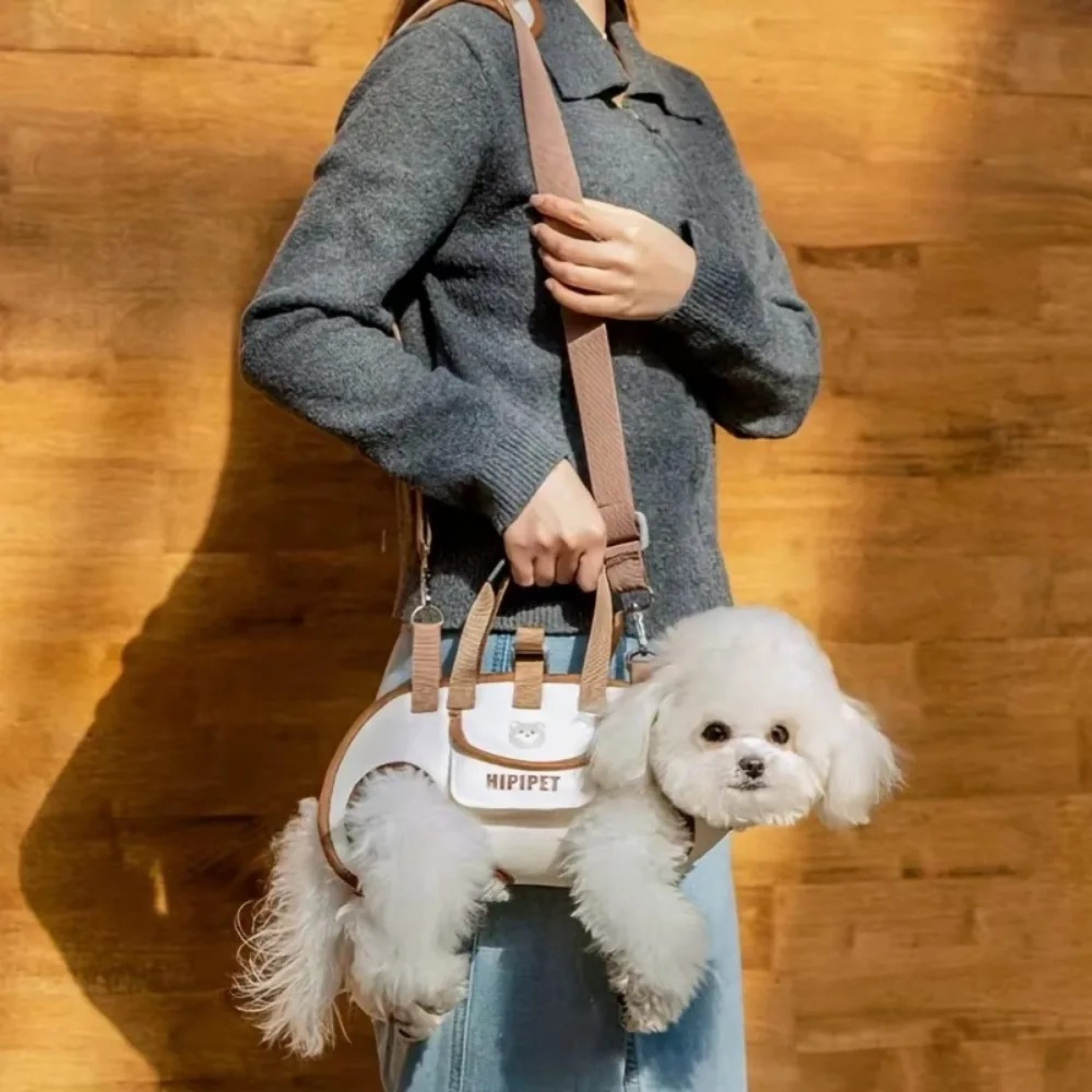 Maltepoodle