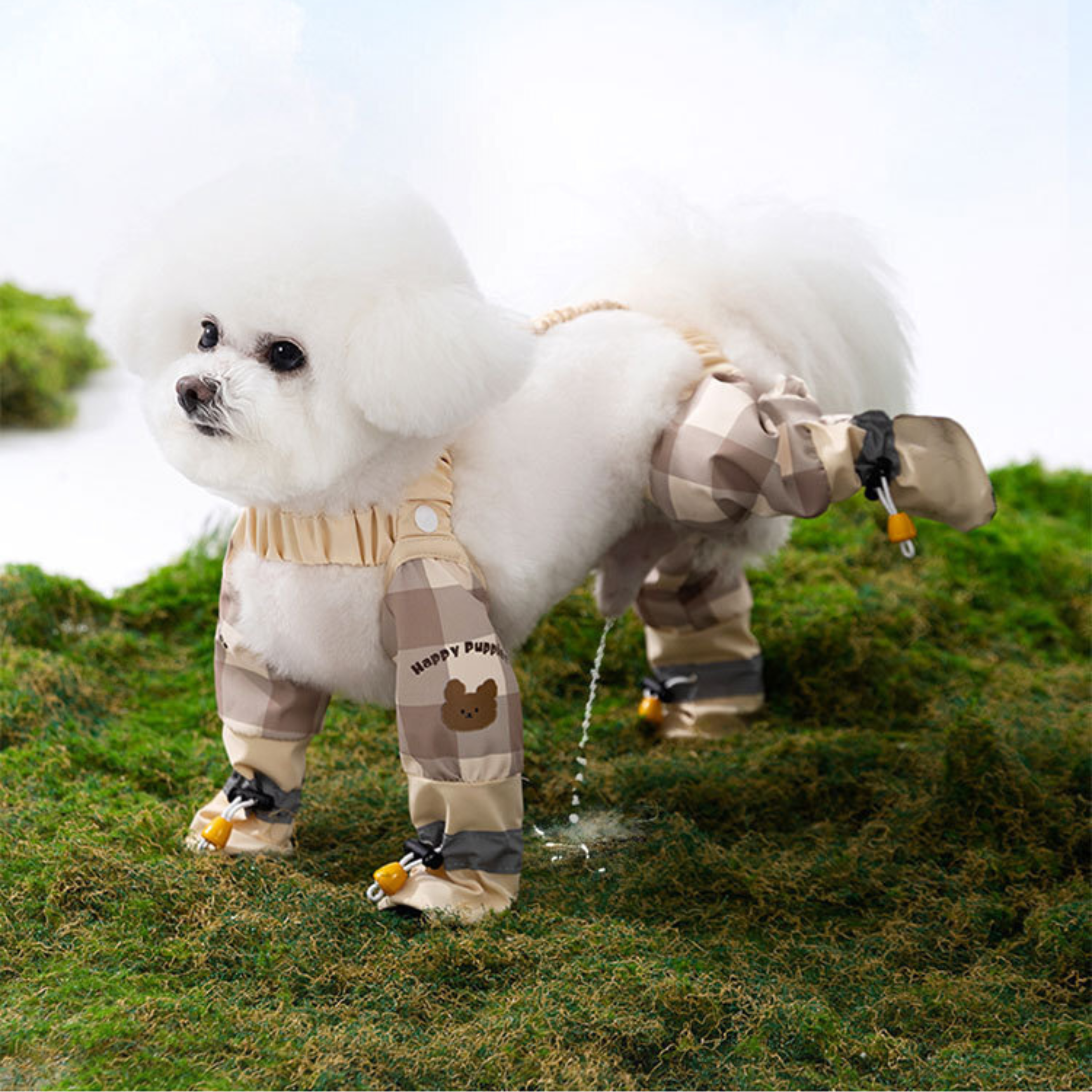 Maltepoodle