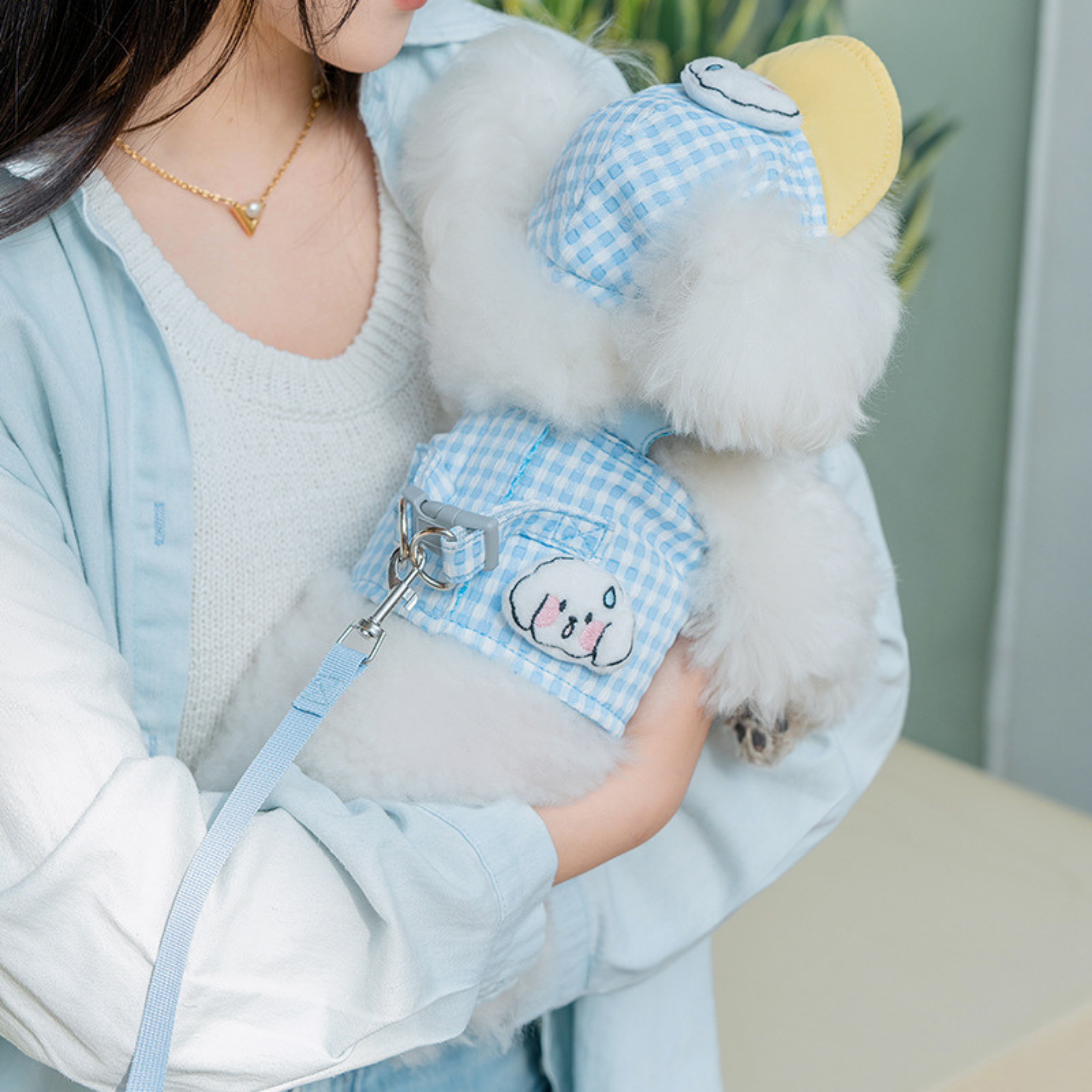 Set de Verano con Sombrero CoolPet