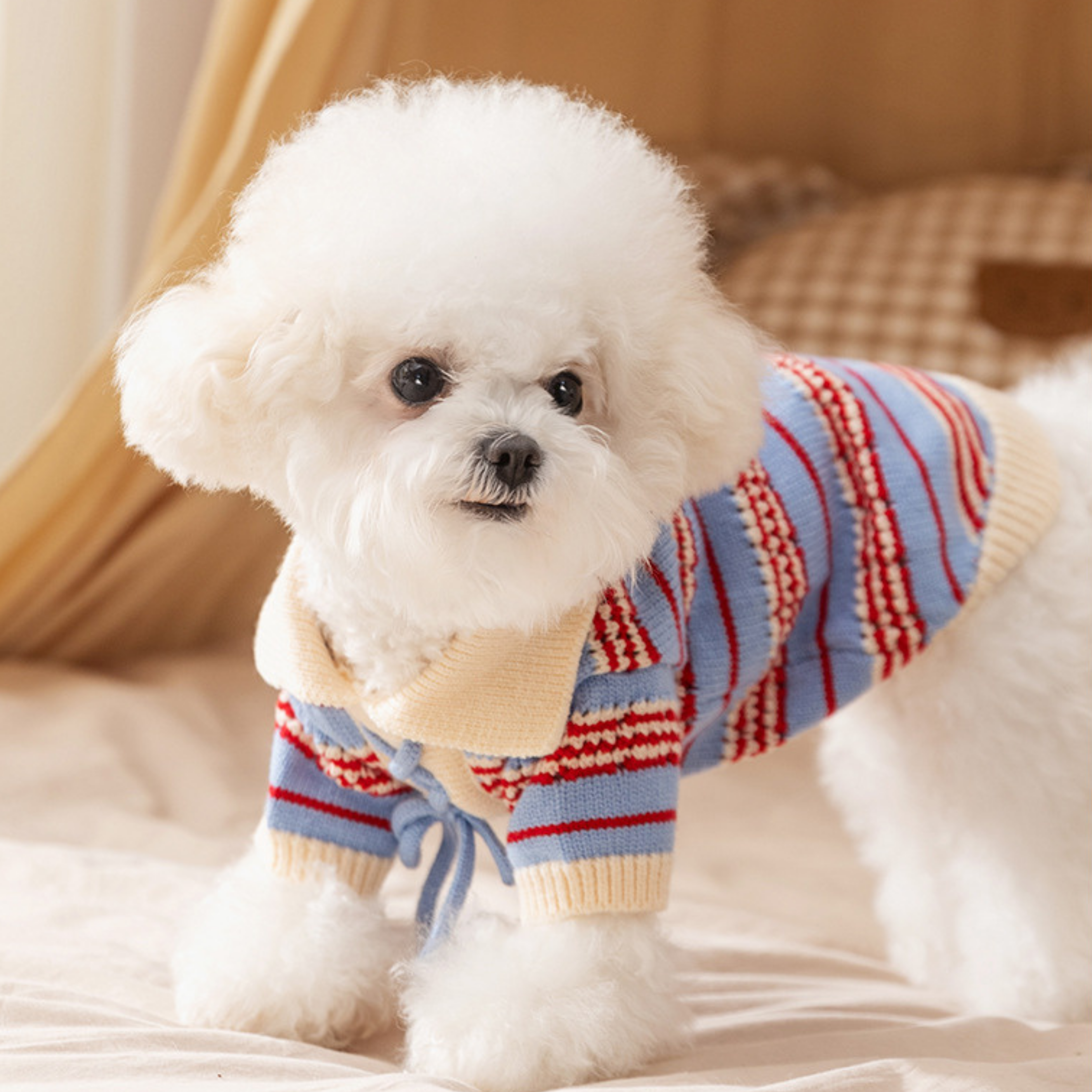 Jersey de Punto con Cordones