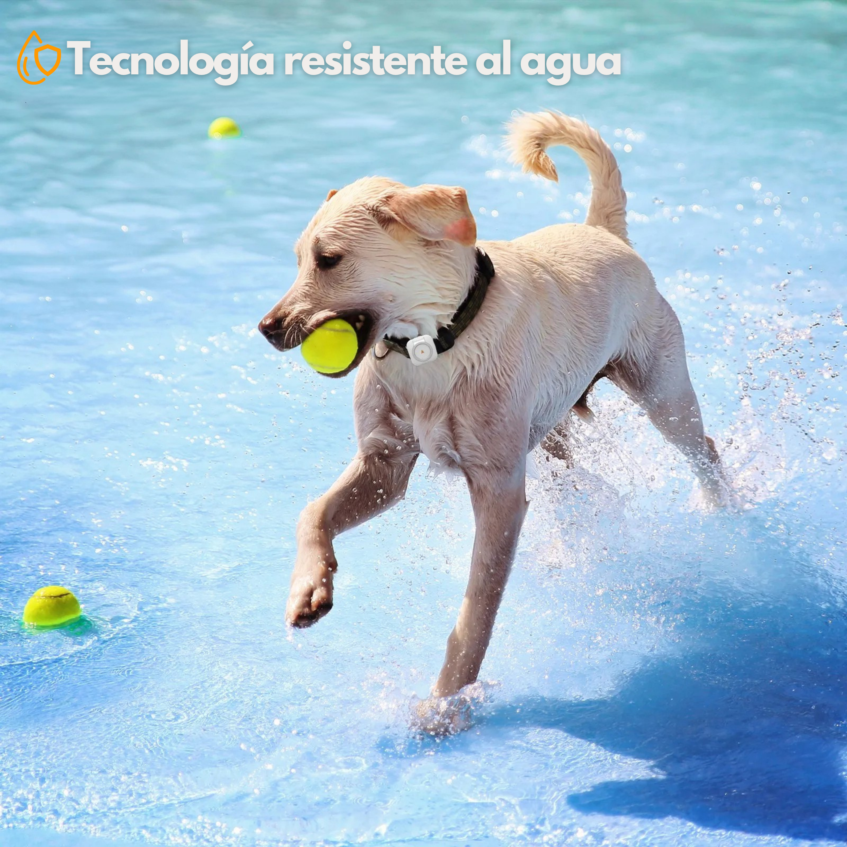 Dispositivo GPS Inteligente