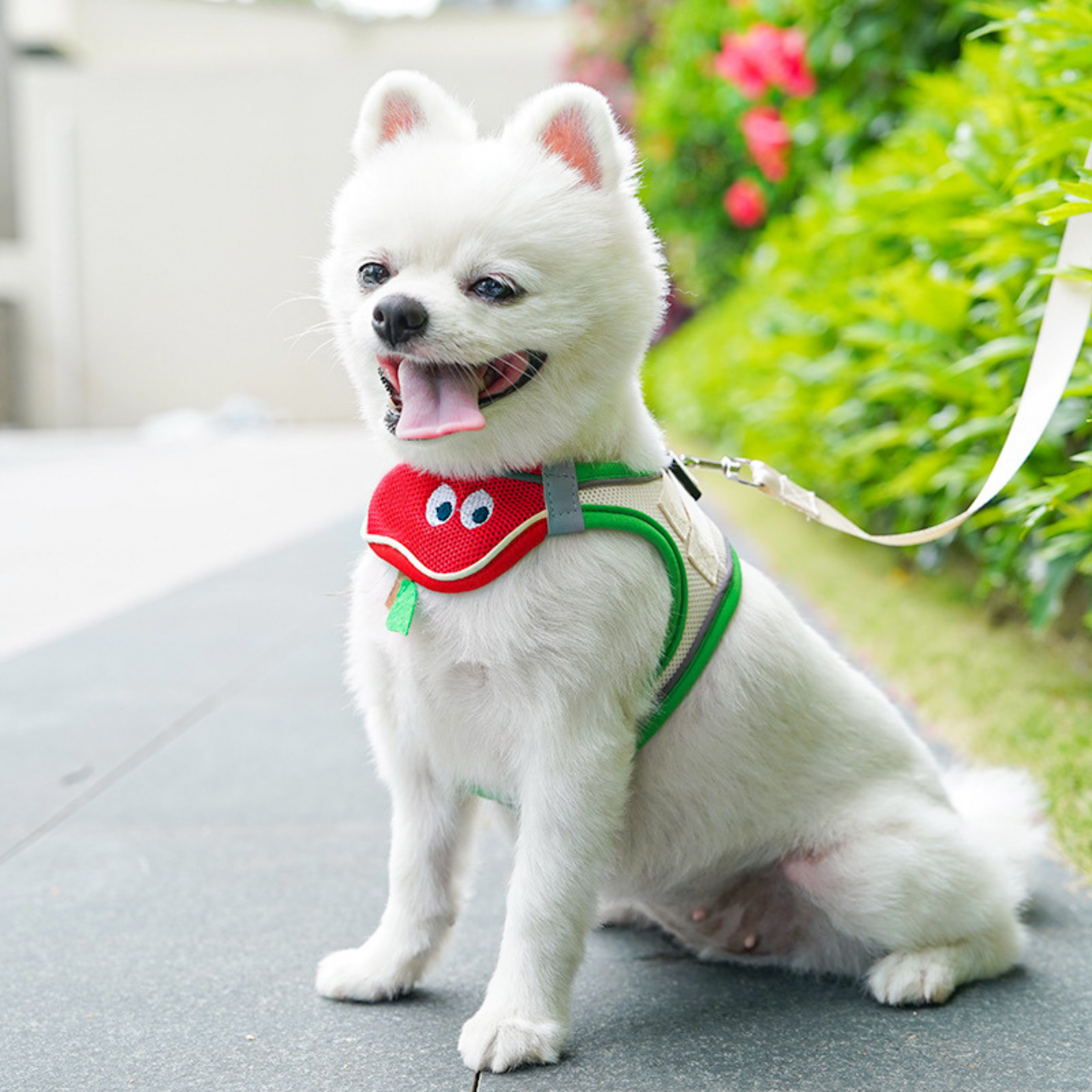 Arnés Babero con Personaje para Perros
