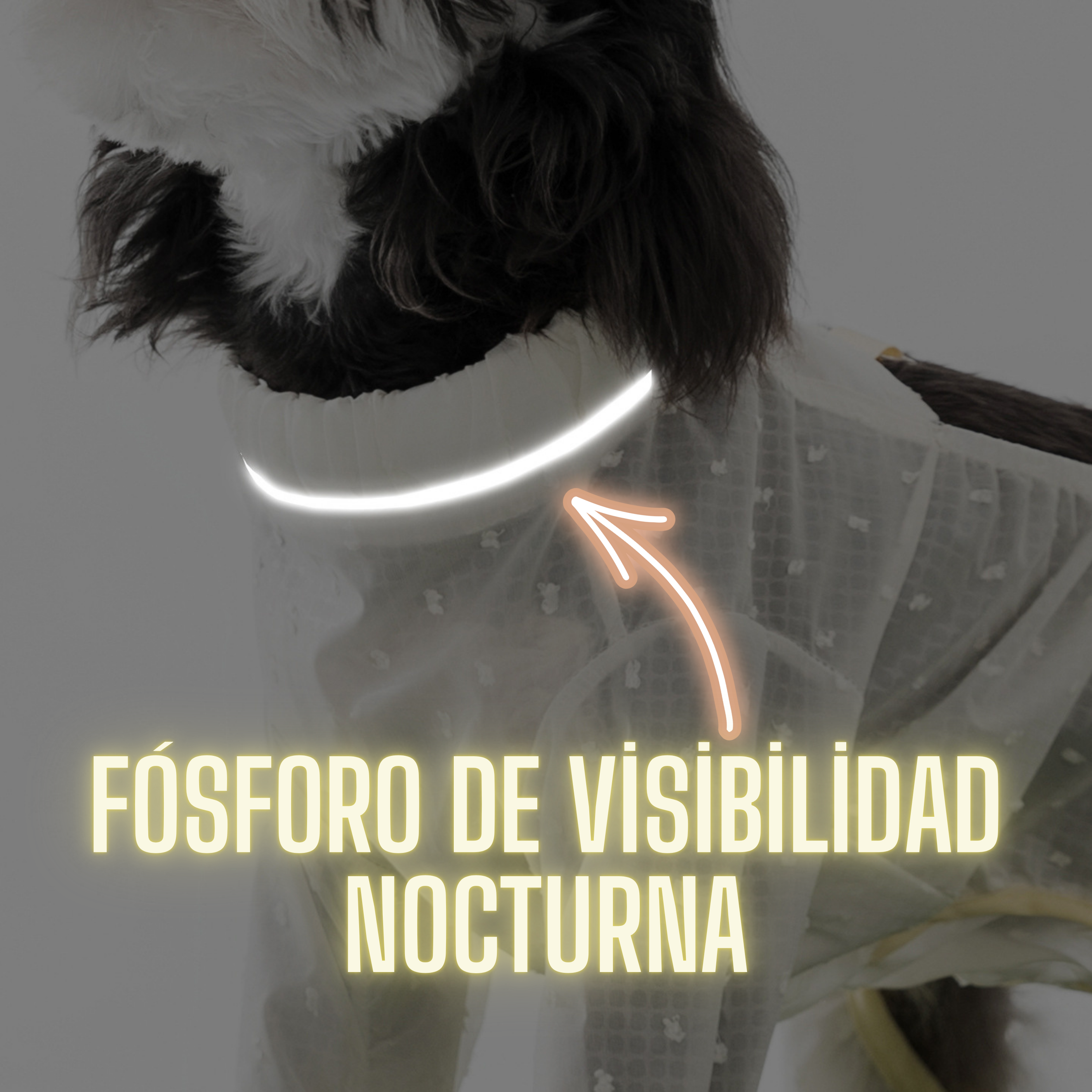 Mono Antisuciedad Easypaw para Perros