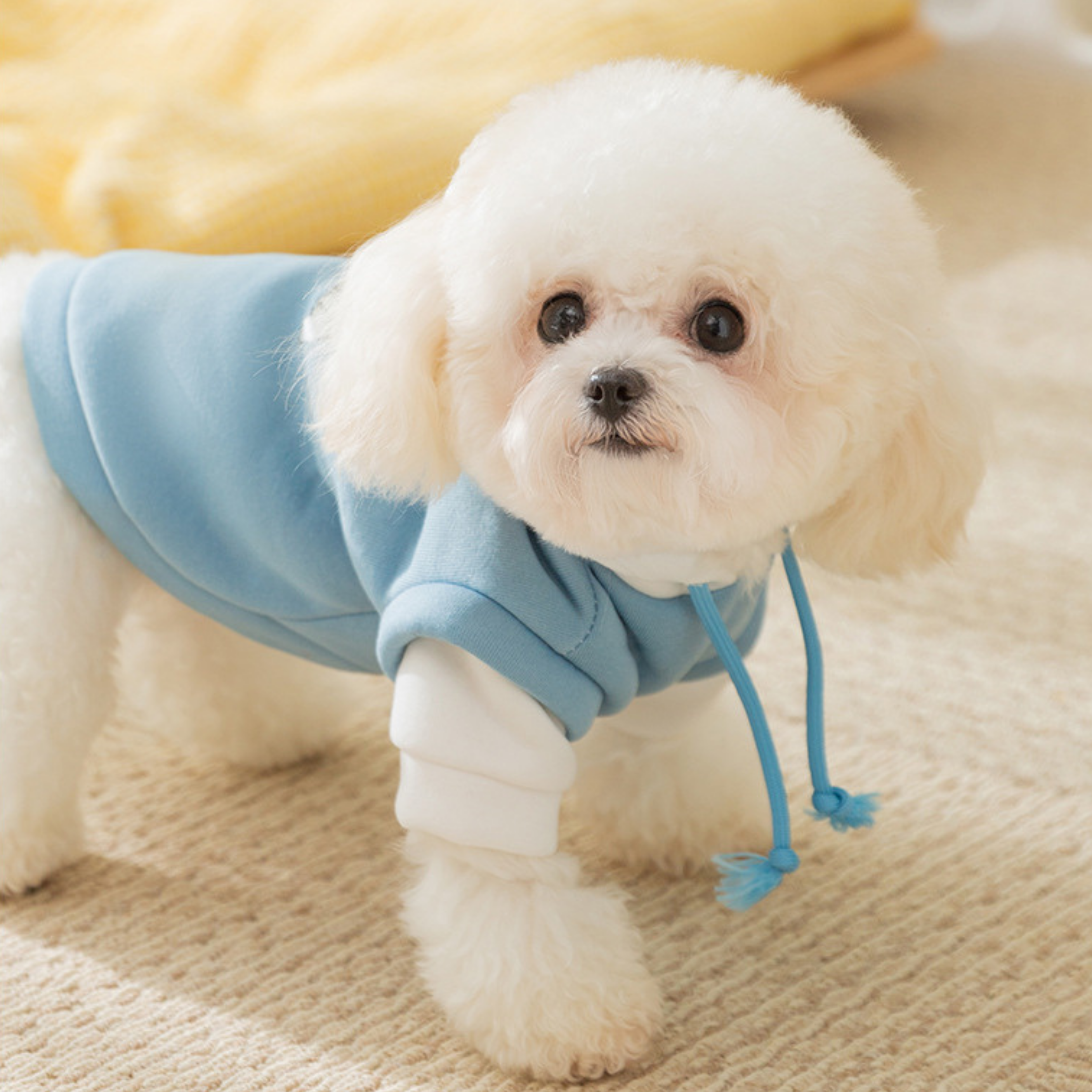 Sudadera con Capucha Huellita