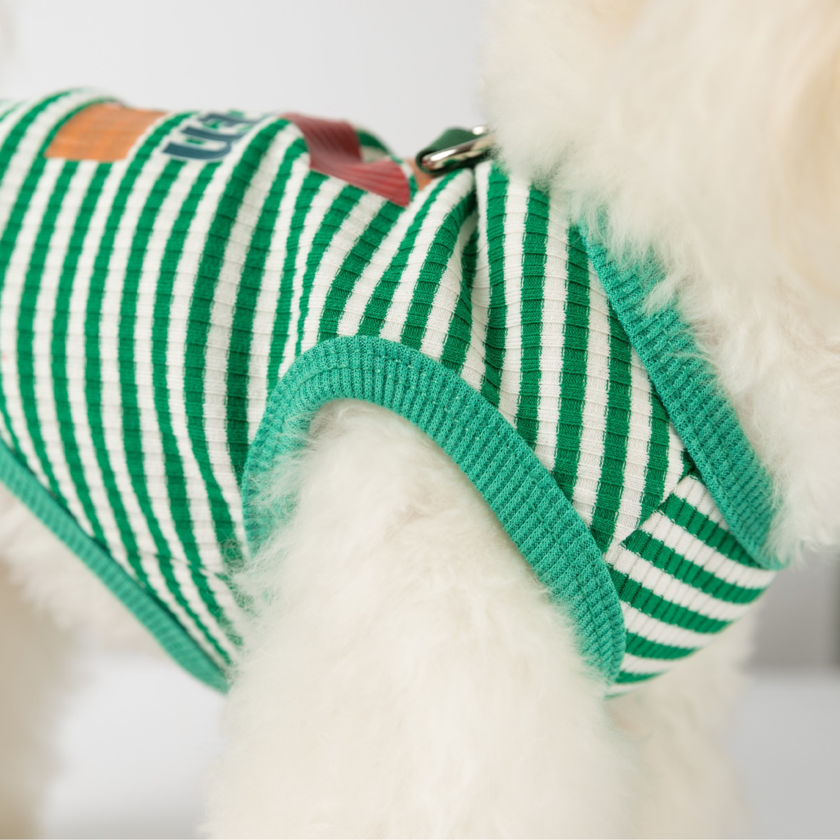 Conjunto Deportivo para Perros