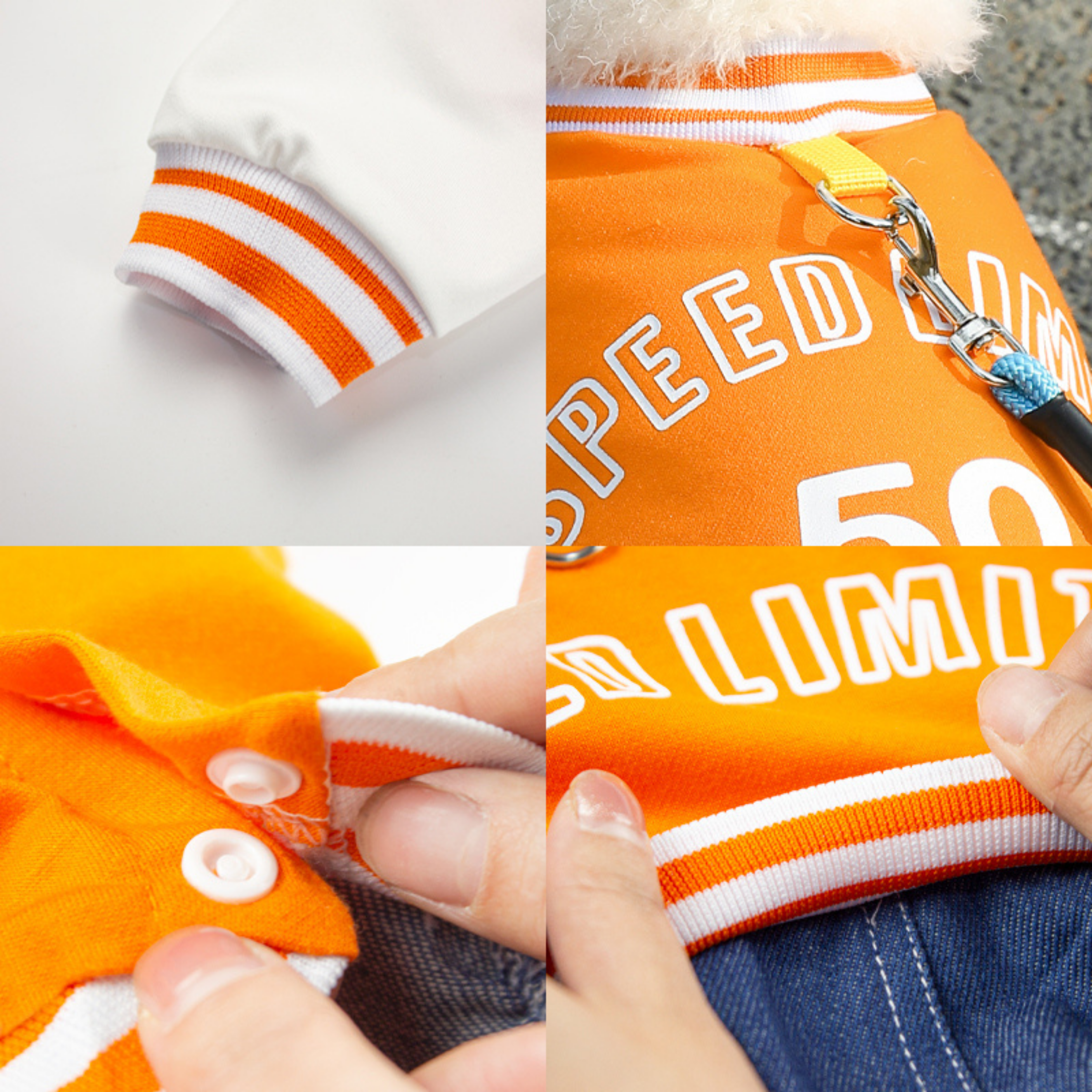 Colección CampusPaw