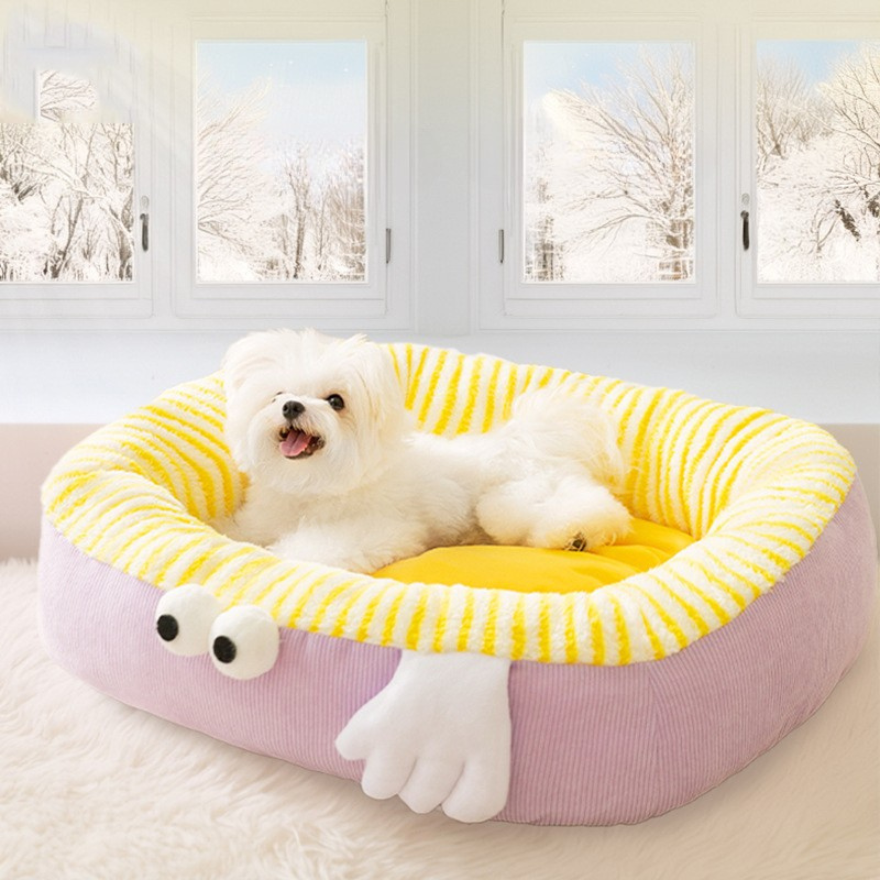 Maltepoodle