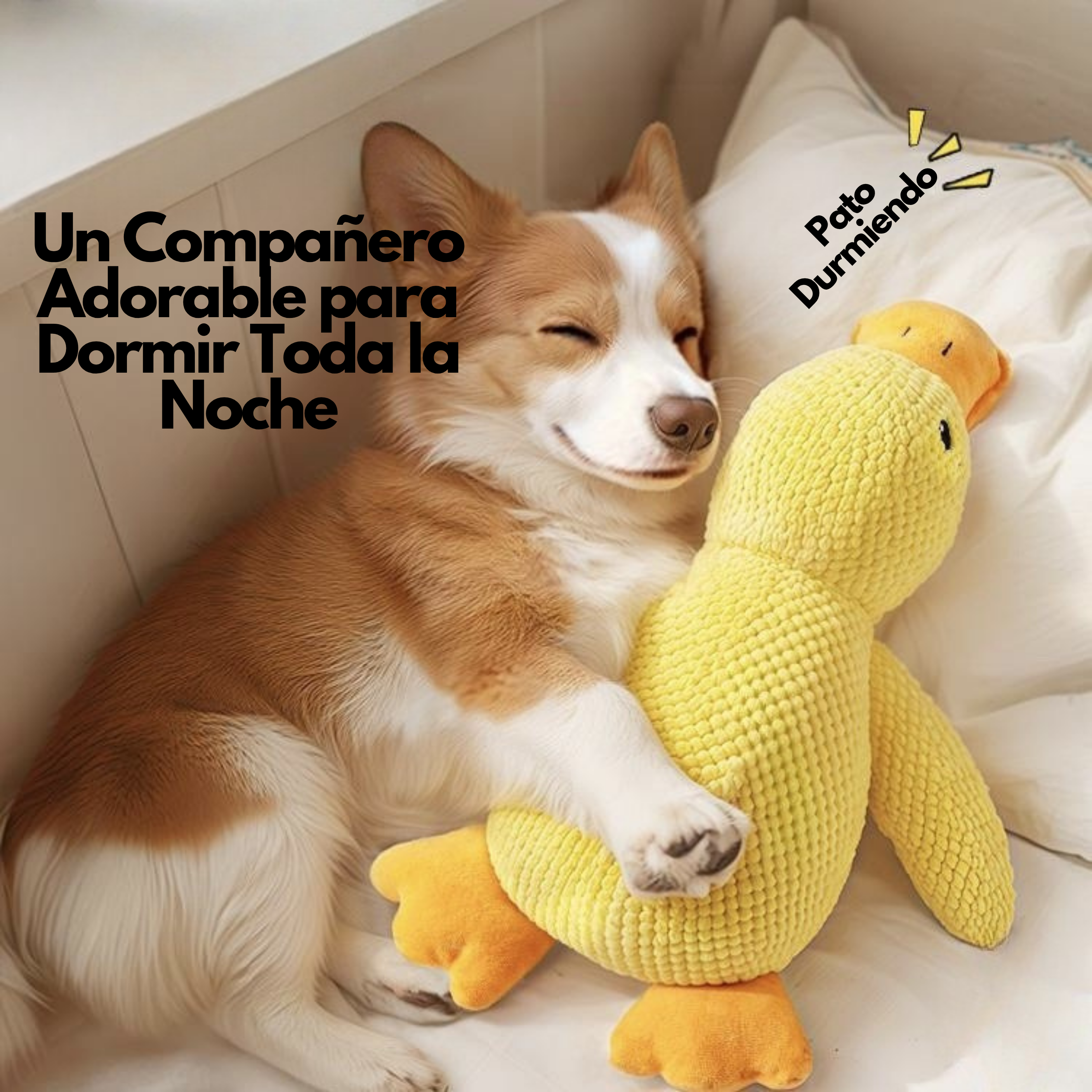 Juguete de Peluche para Masticar