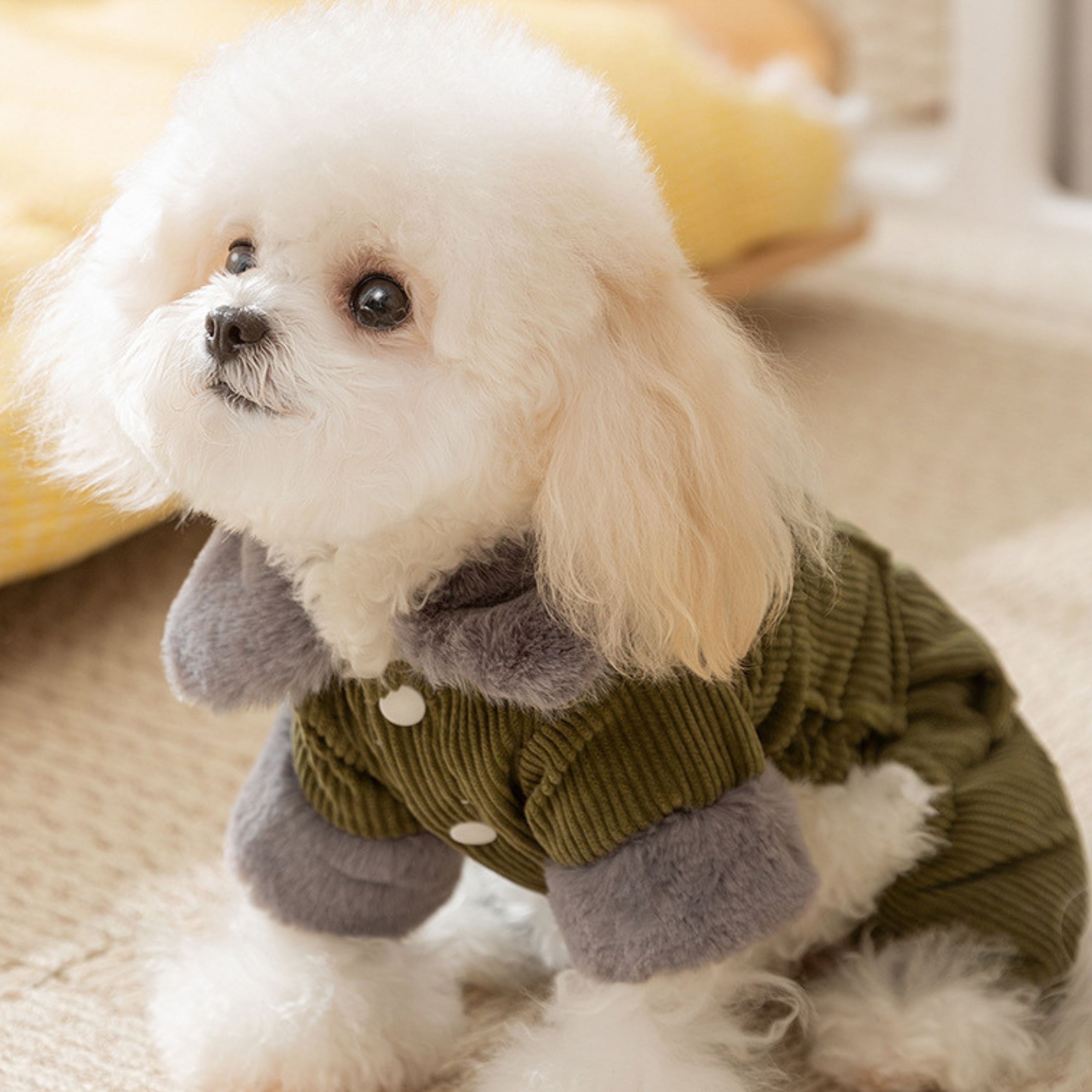 Abrigo de Terciopelo CozyPup