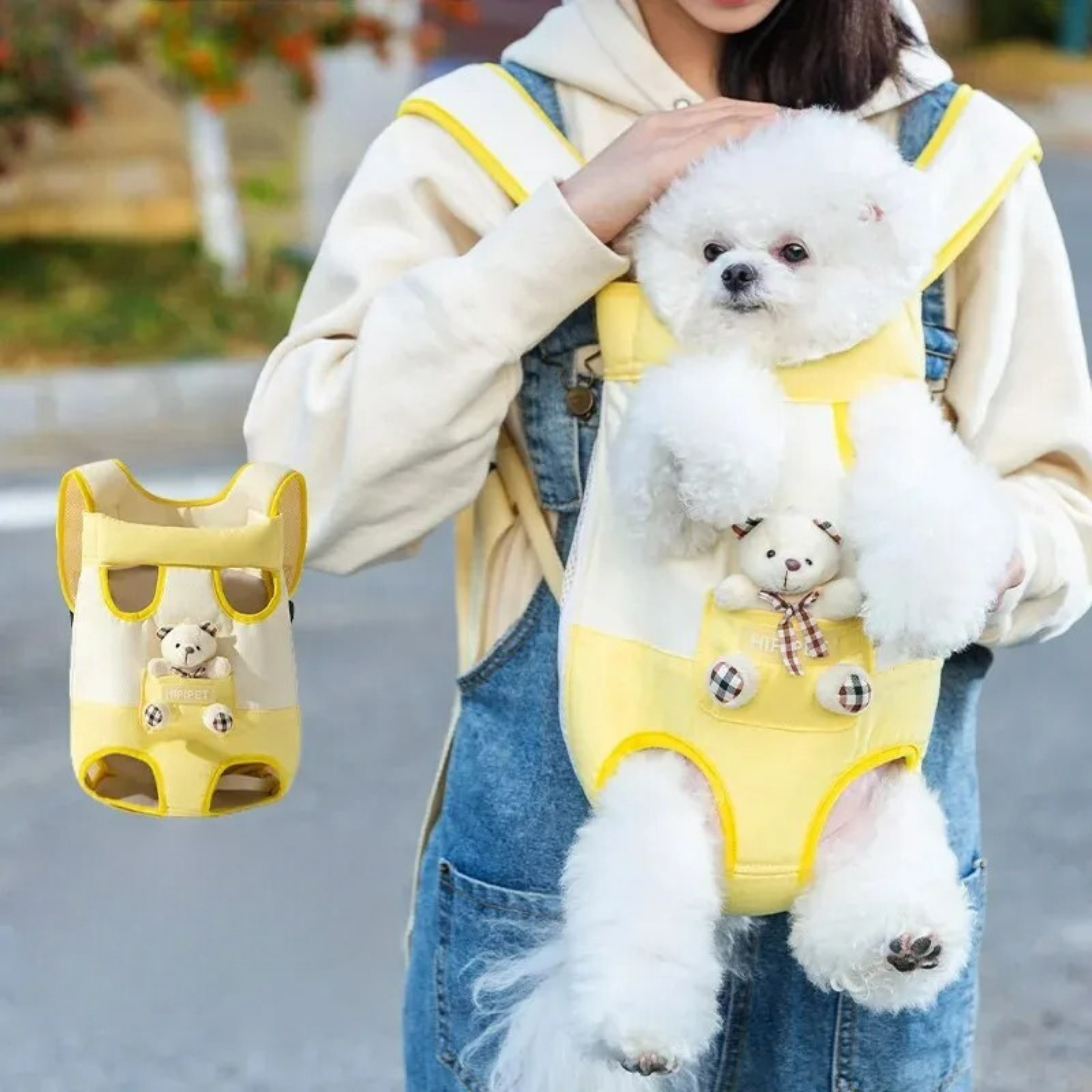 Maltepoodle