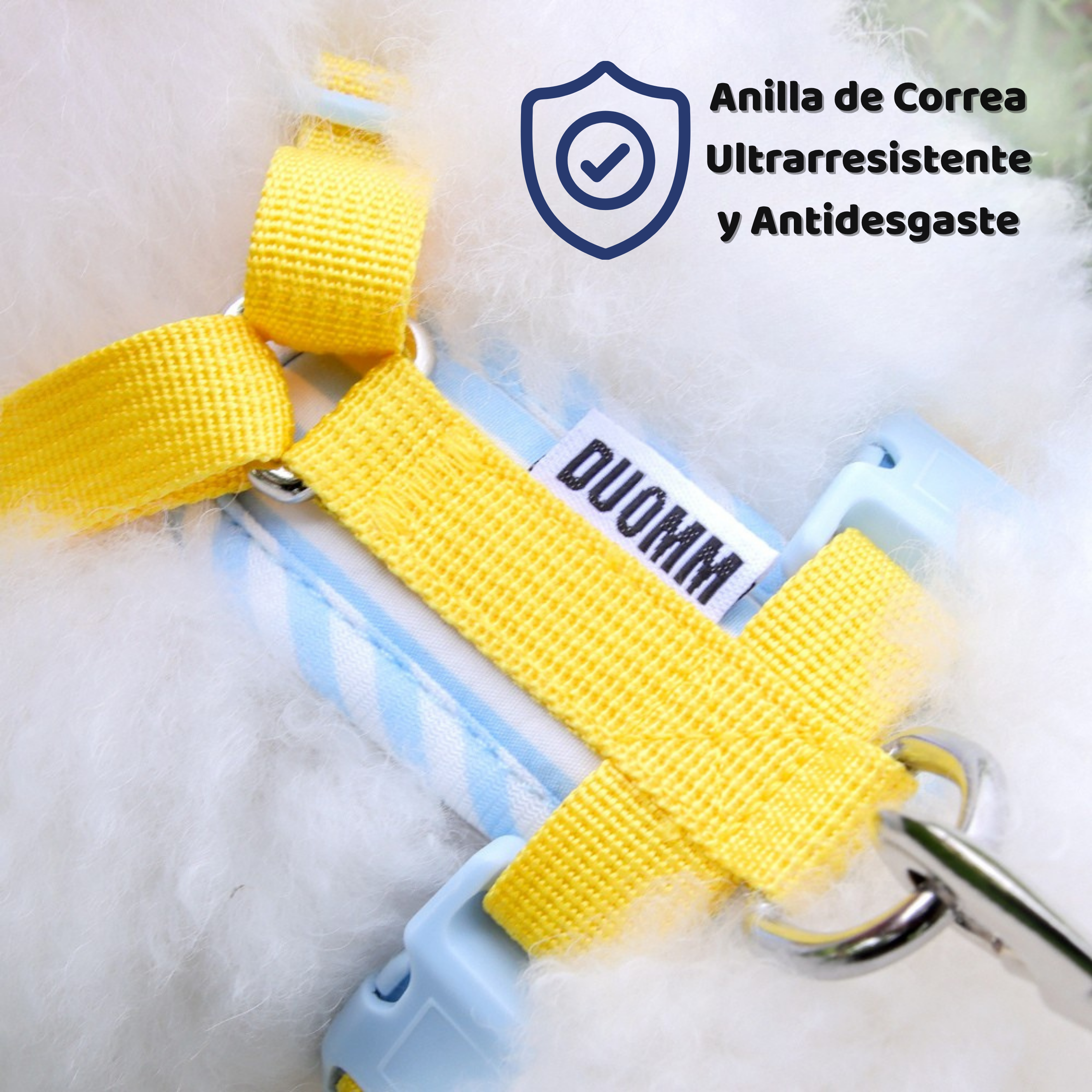 Set de Arnés con Emblema de Cereza para Perros