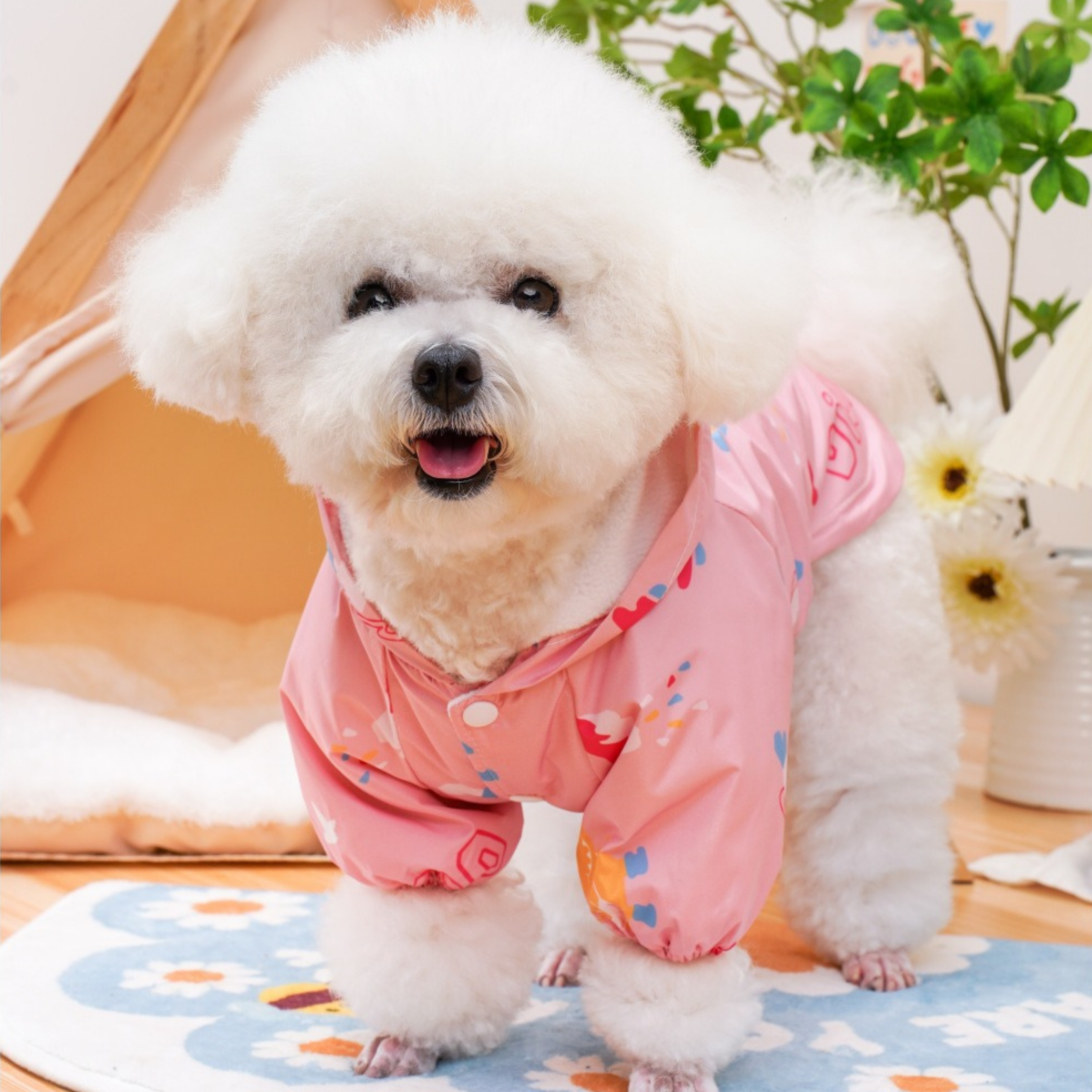 Conjunto Impermeable Colorido RainDay