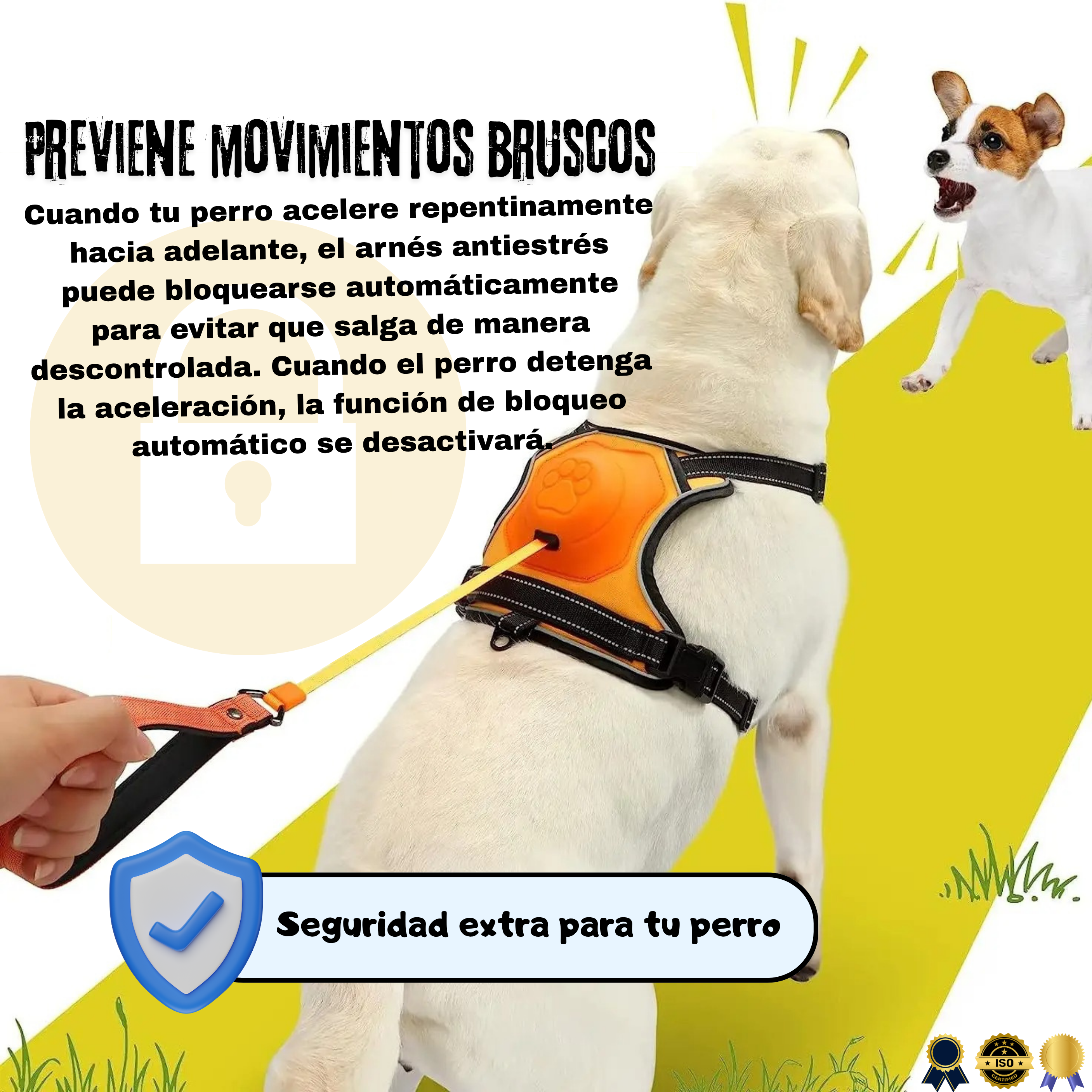 Arnés Multifuncional para Perros