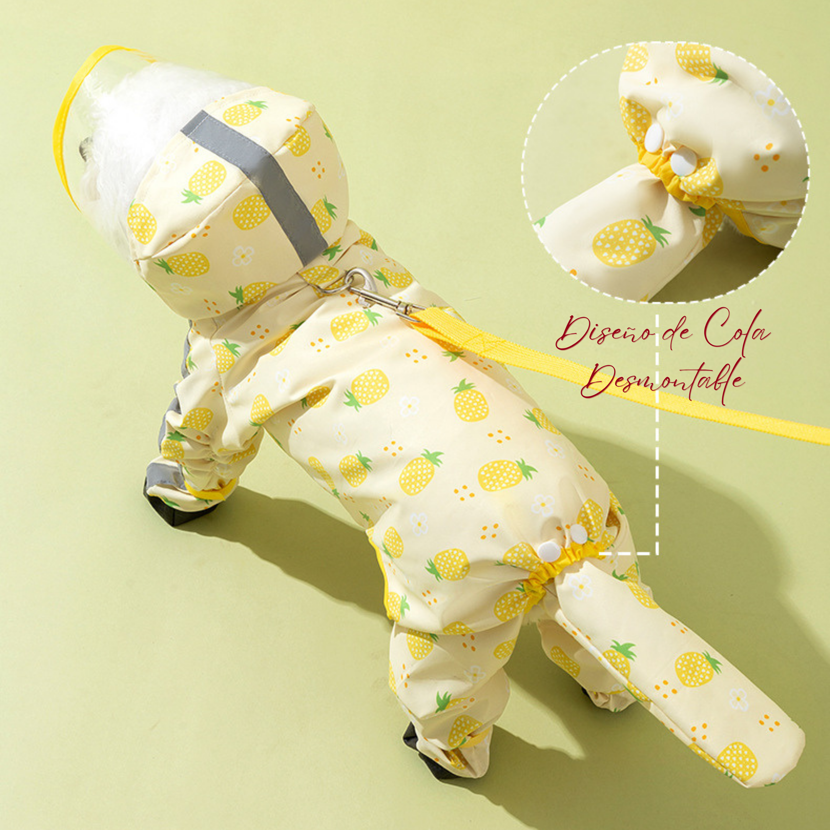 Impermeable Premium Maltepoodle