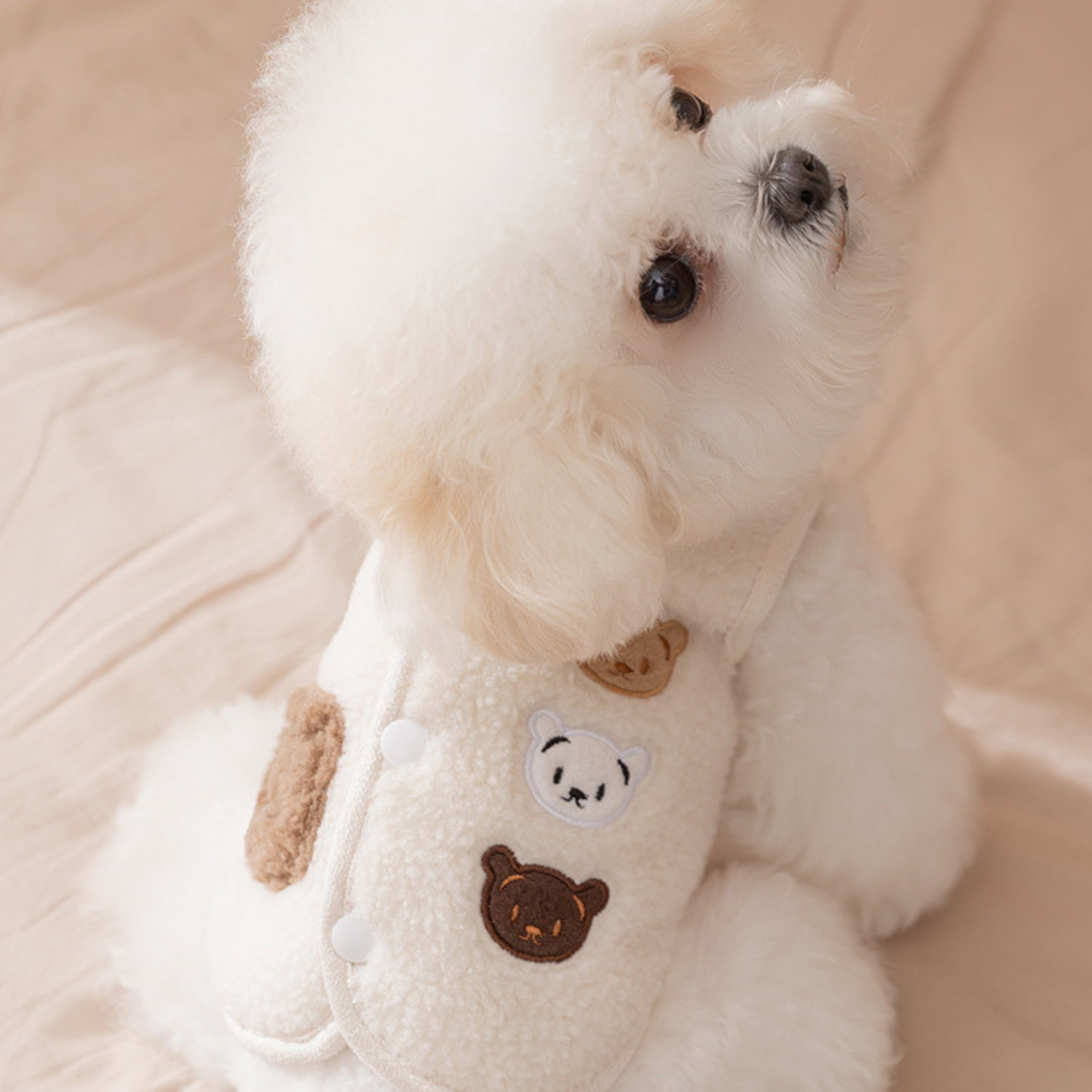 Chaleco con Diseño de Osito