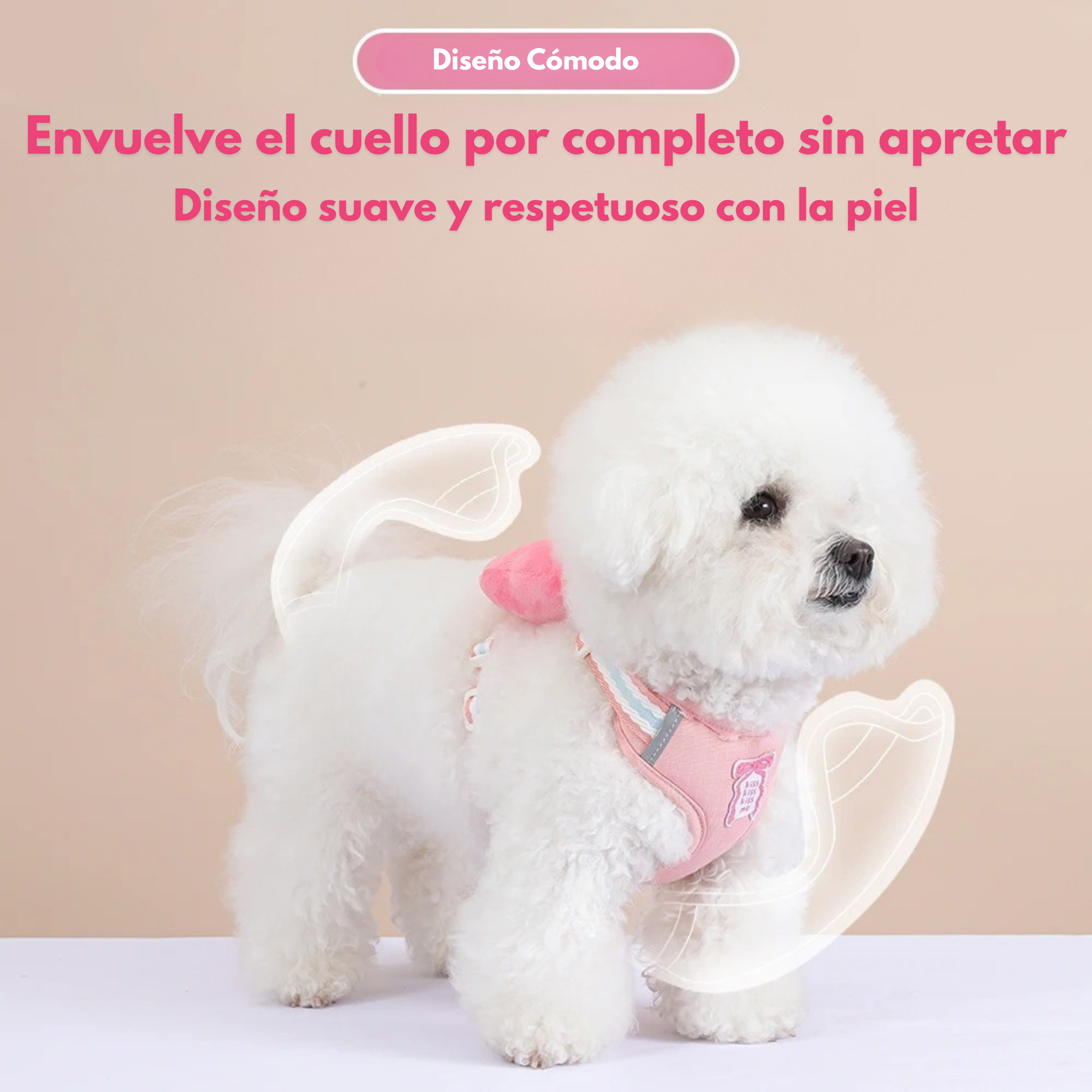 Maltepoodle España
