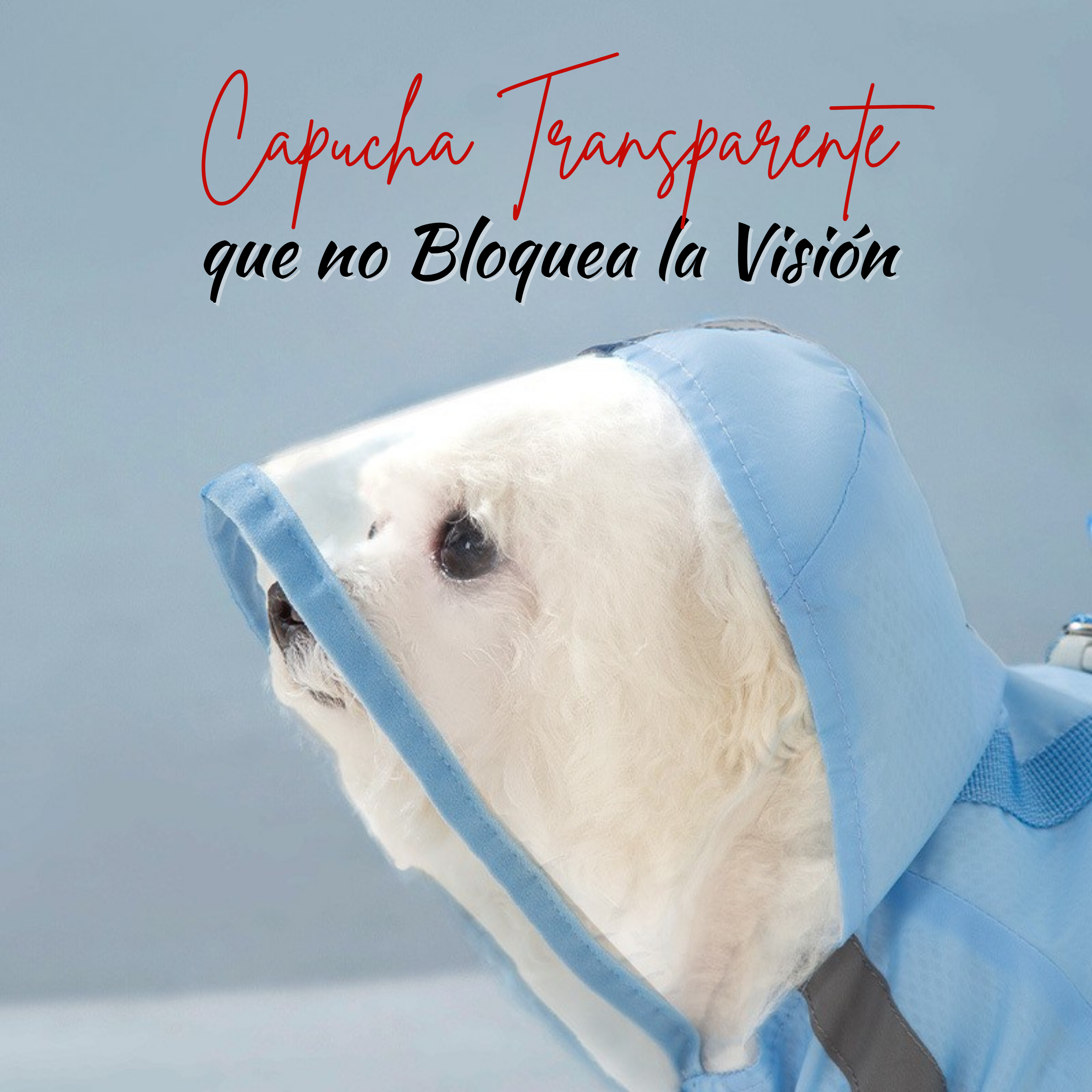 Impermeable para Perros