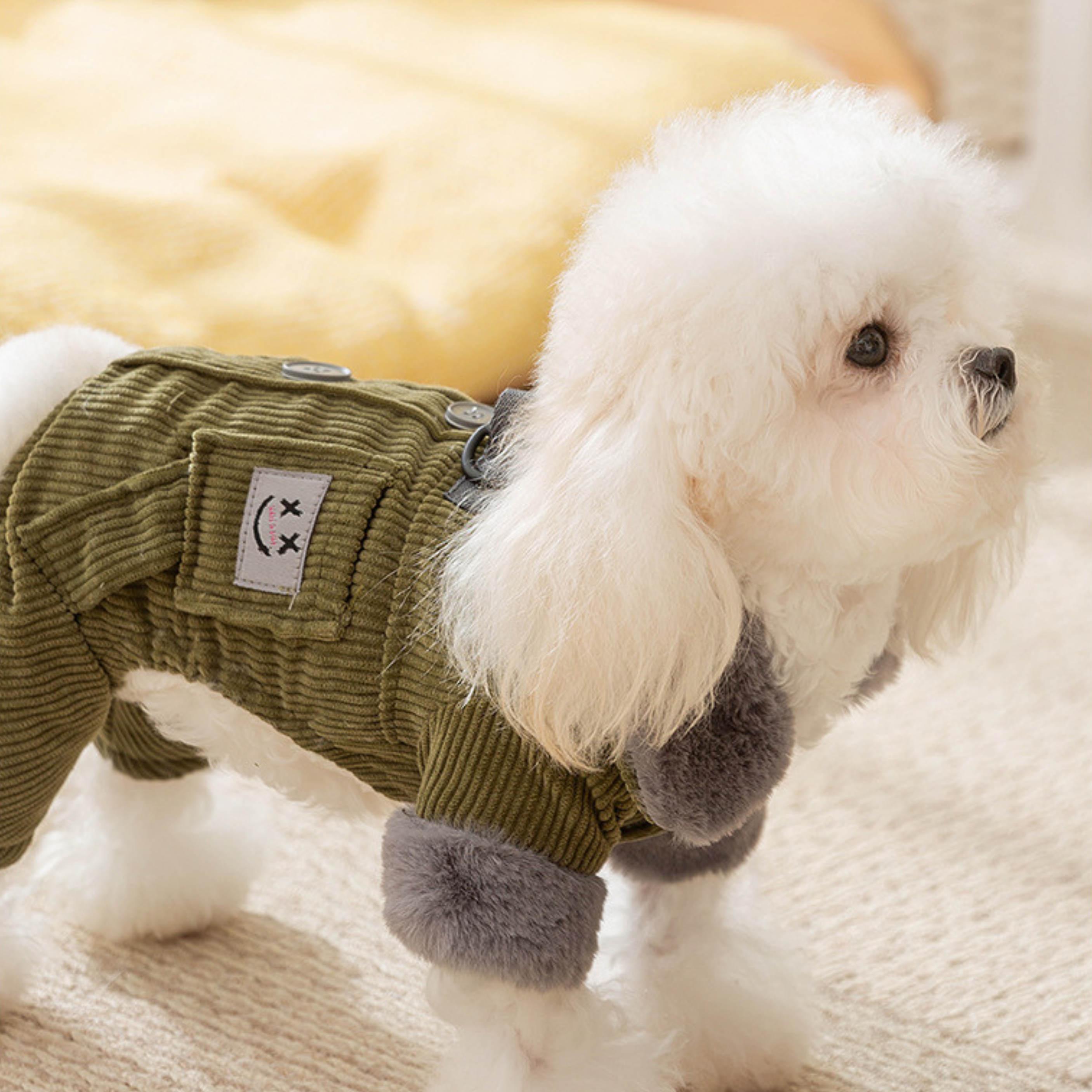 Abrigo de Terciopelo CozyPup