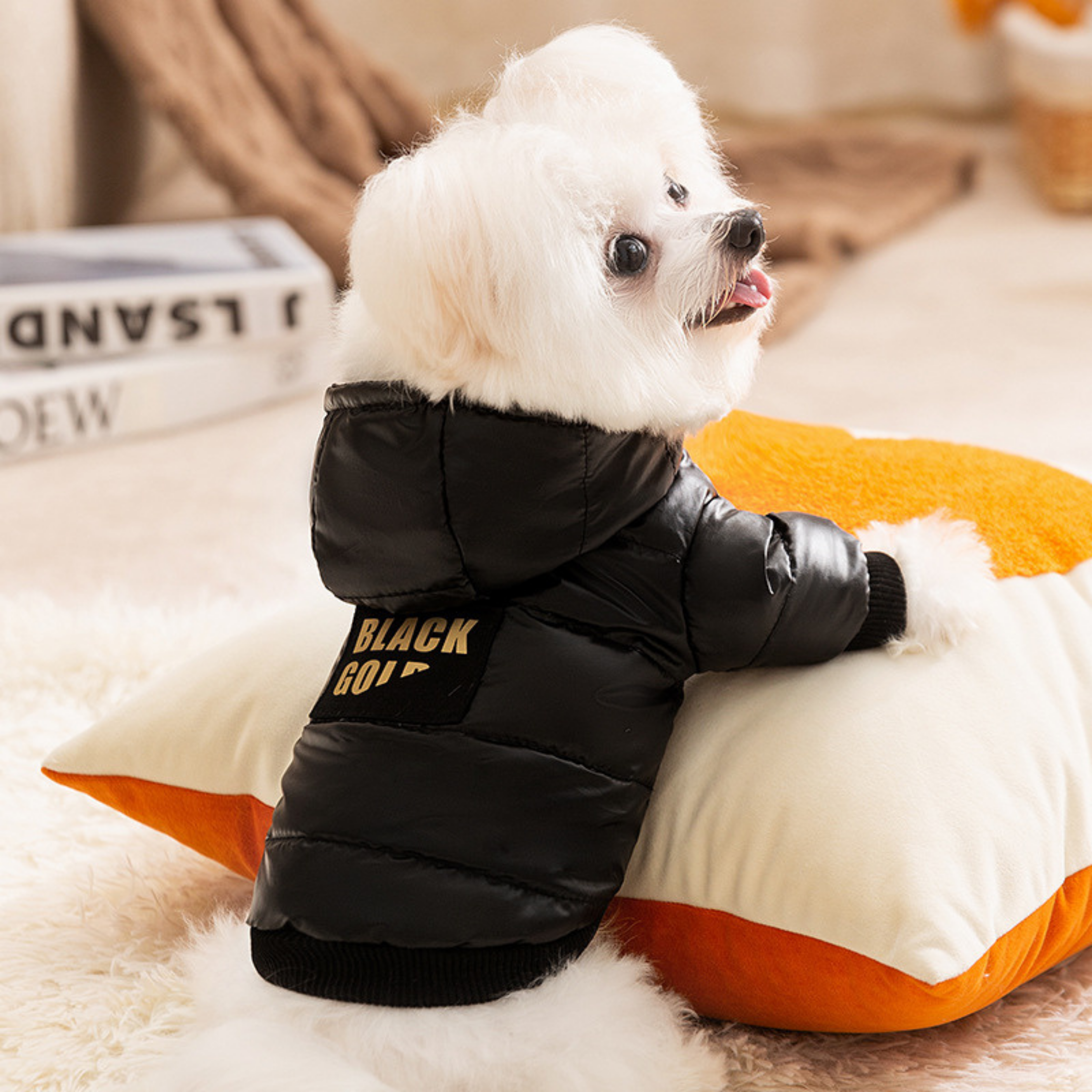 Abrigo Premium BlackGold