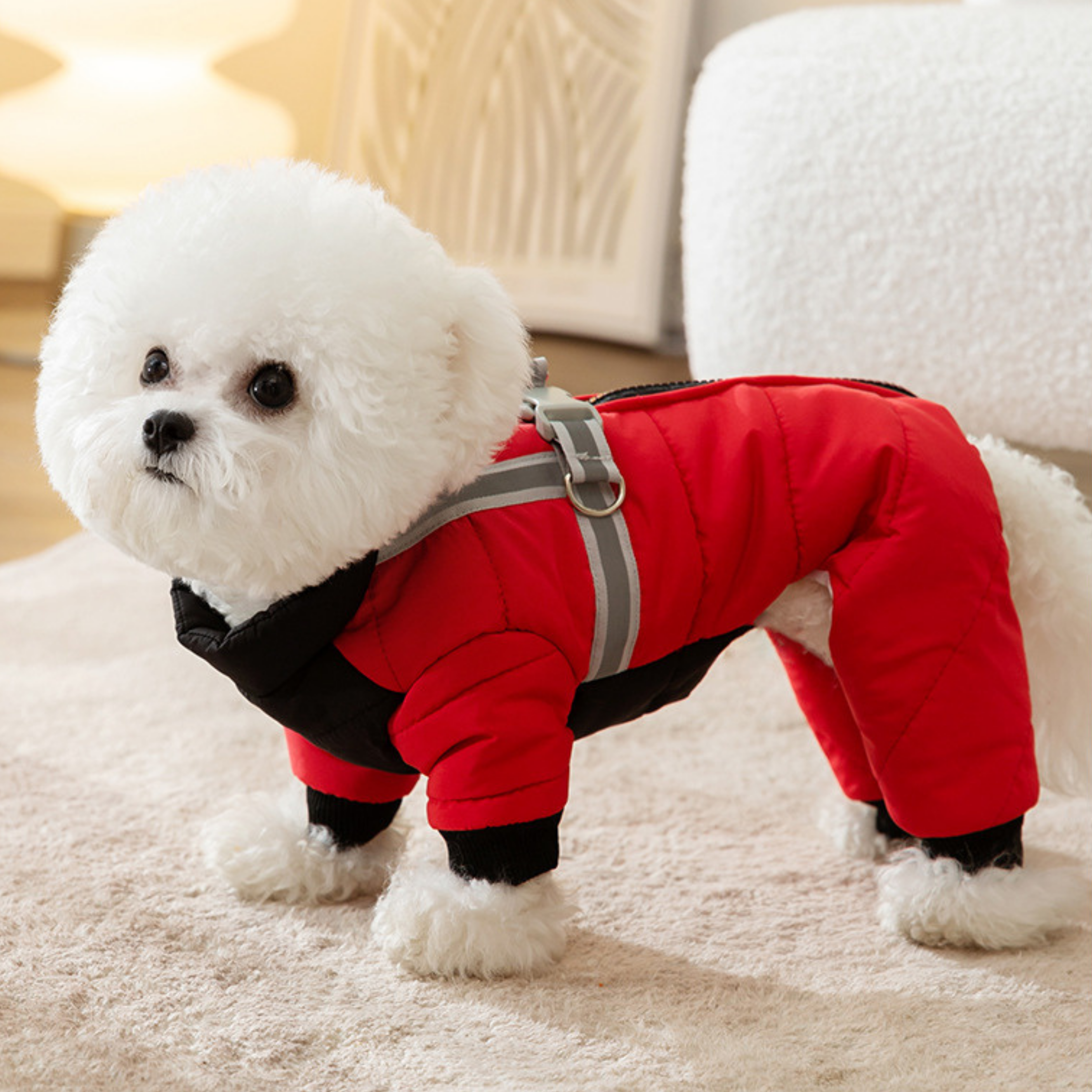 Mono Impermeable de Invierno