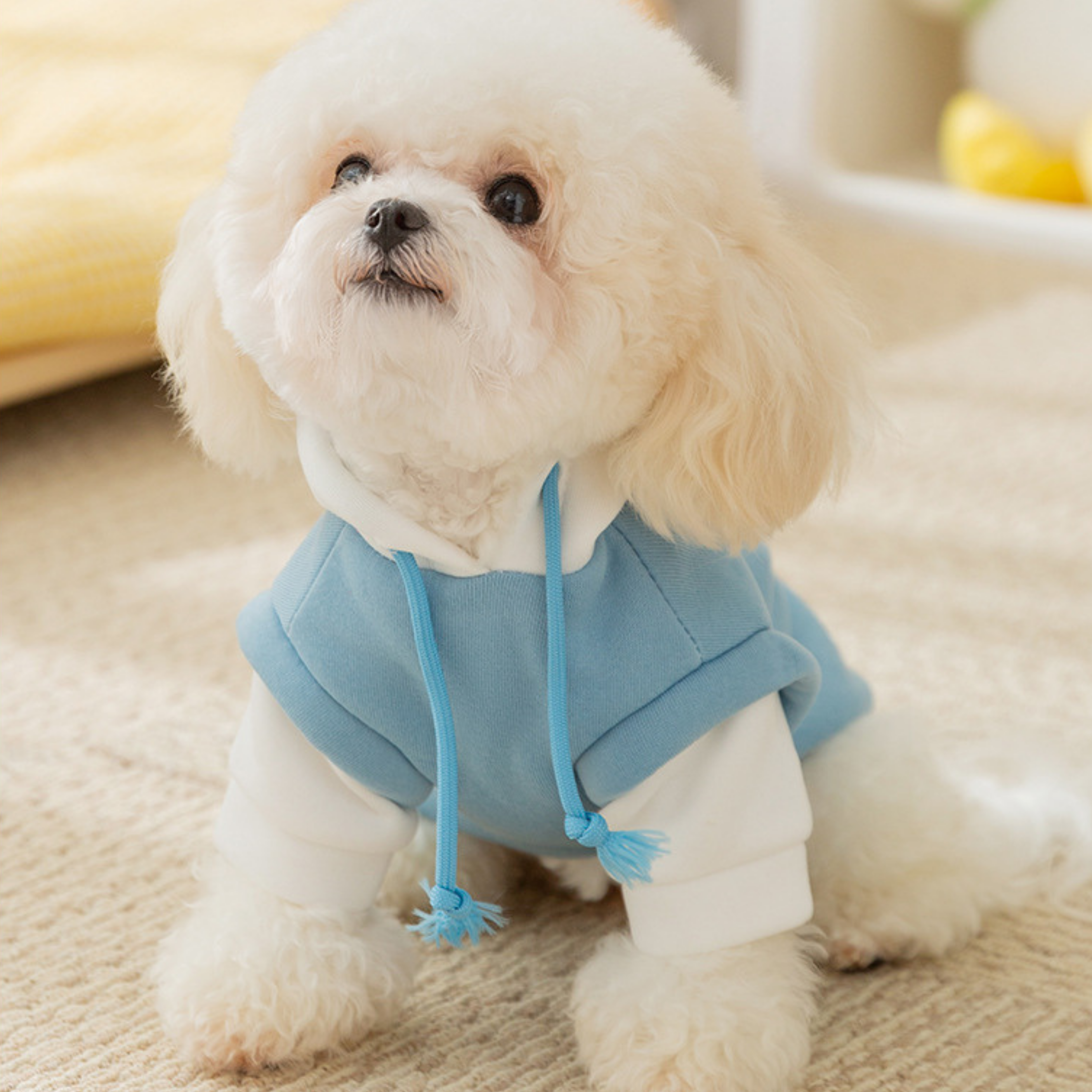 Sudadera con Capucha Huellita