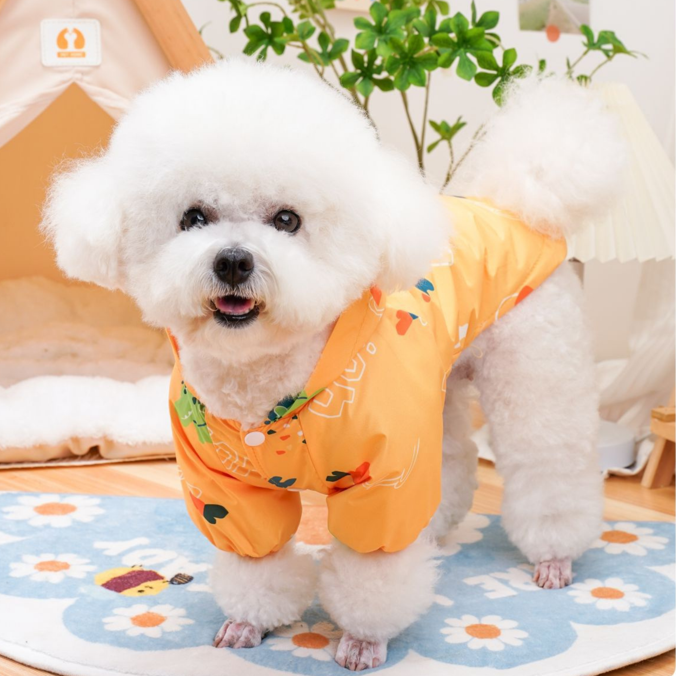 Conjunto Impermeable Colorido RainDay