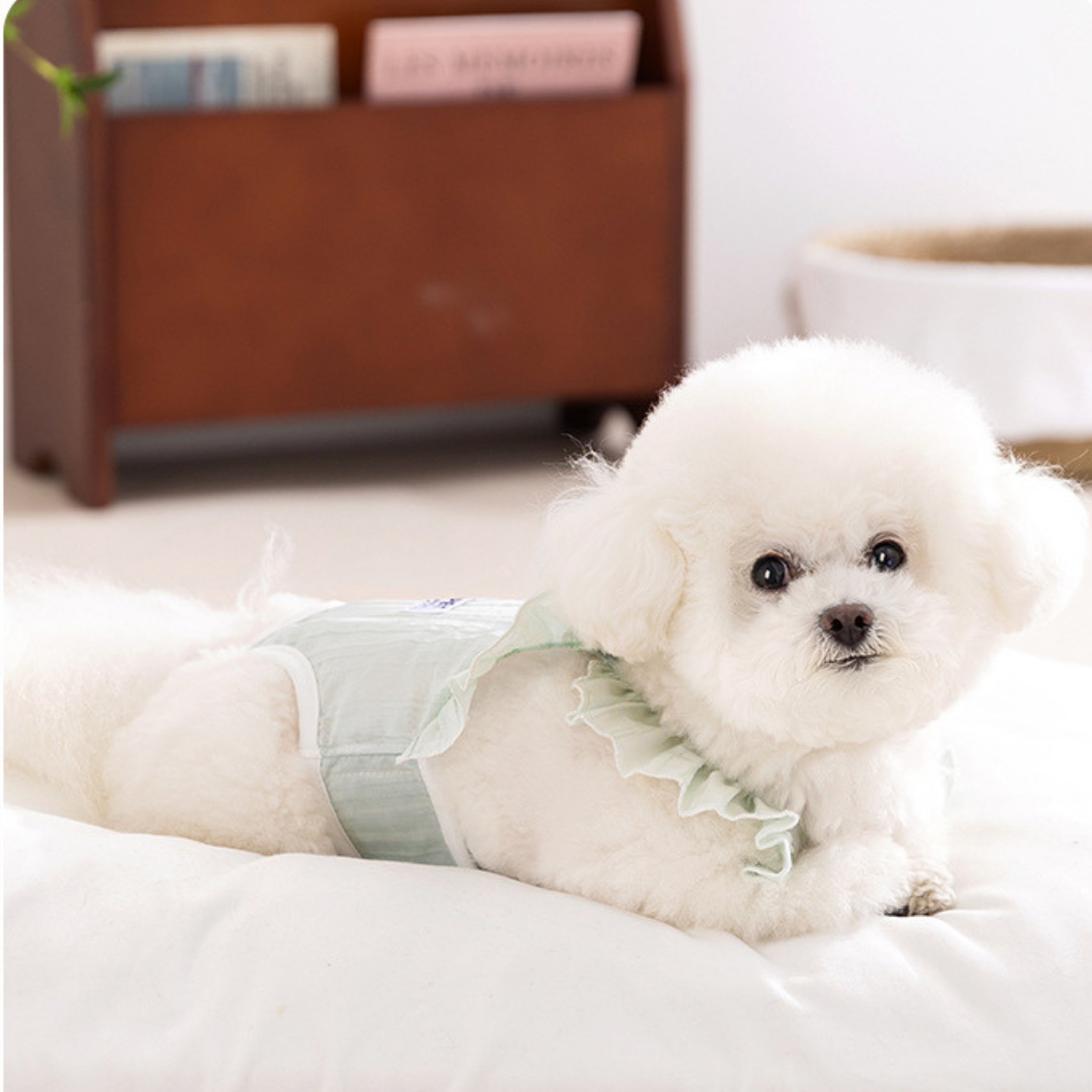 Mono Fruncido Huellita