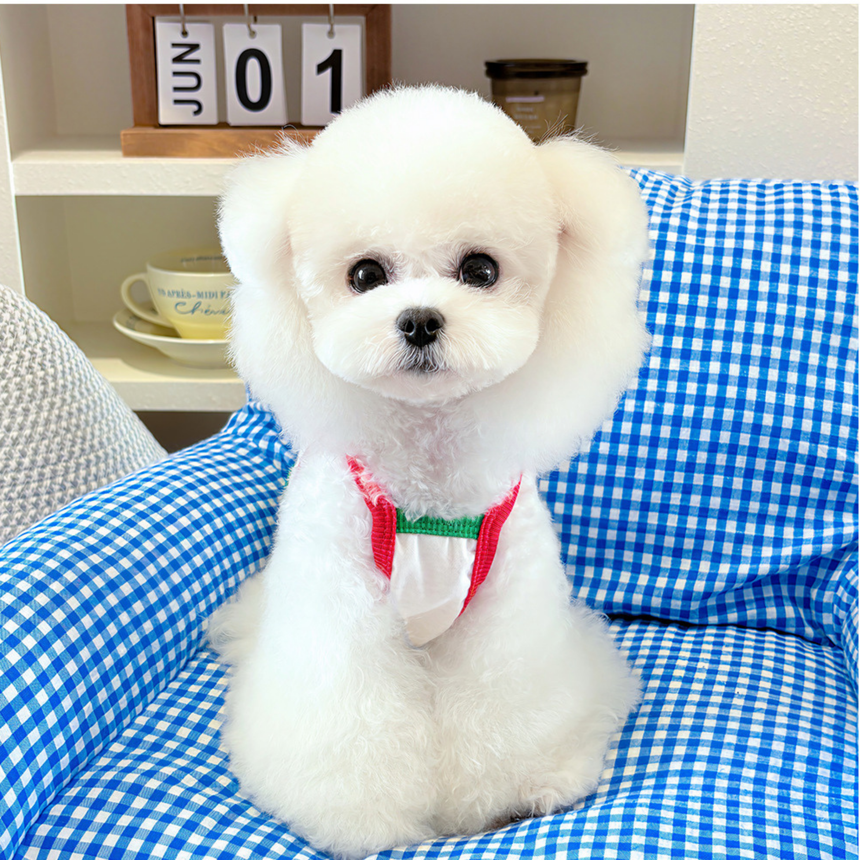 Camiseta con Figura Animal para Perros