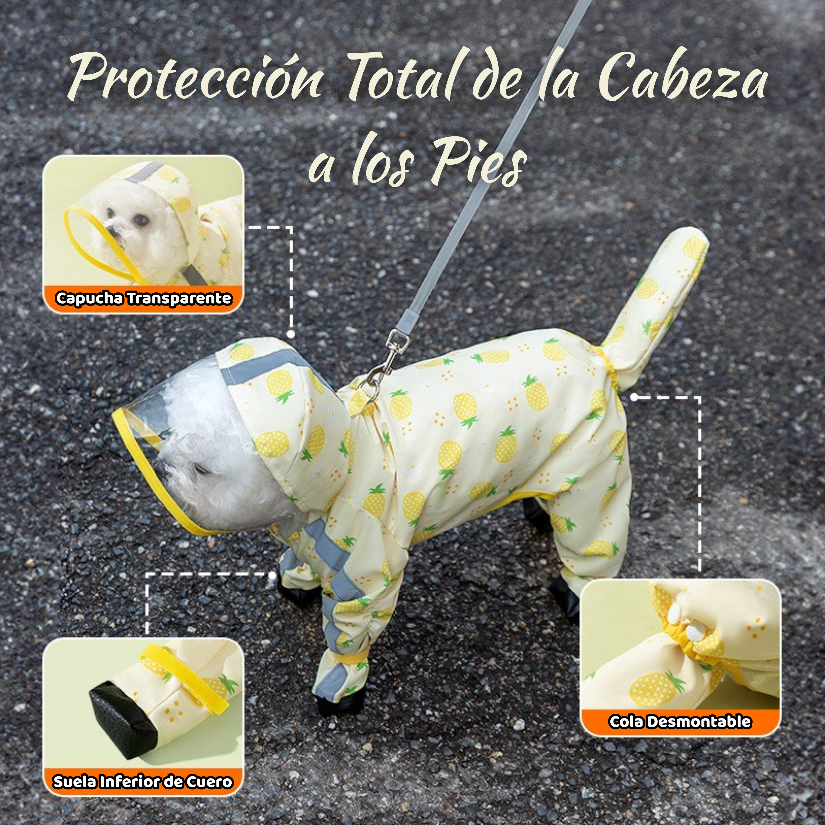 Impermeable Premium Maltepoodle