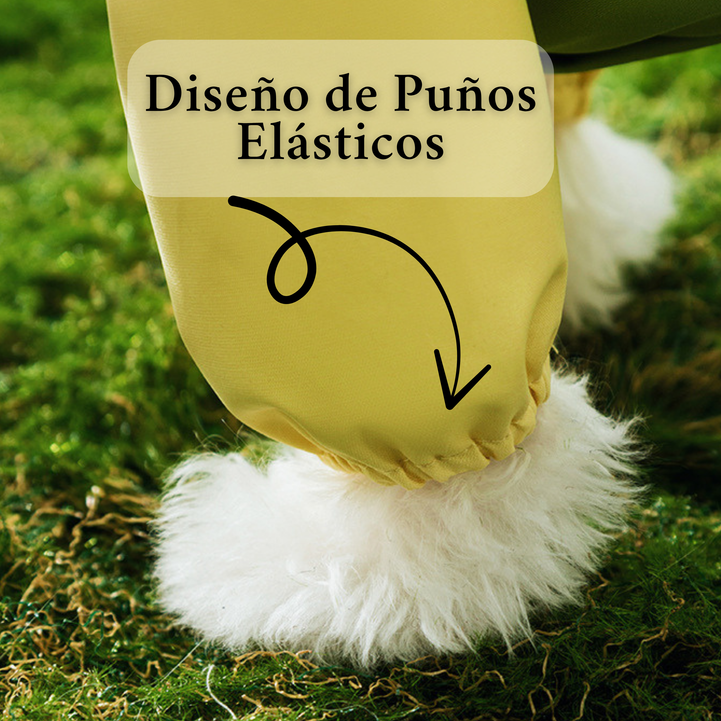 Impermeable con Diseño de Dinosaurio