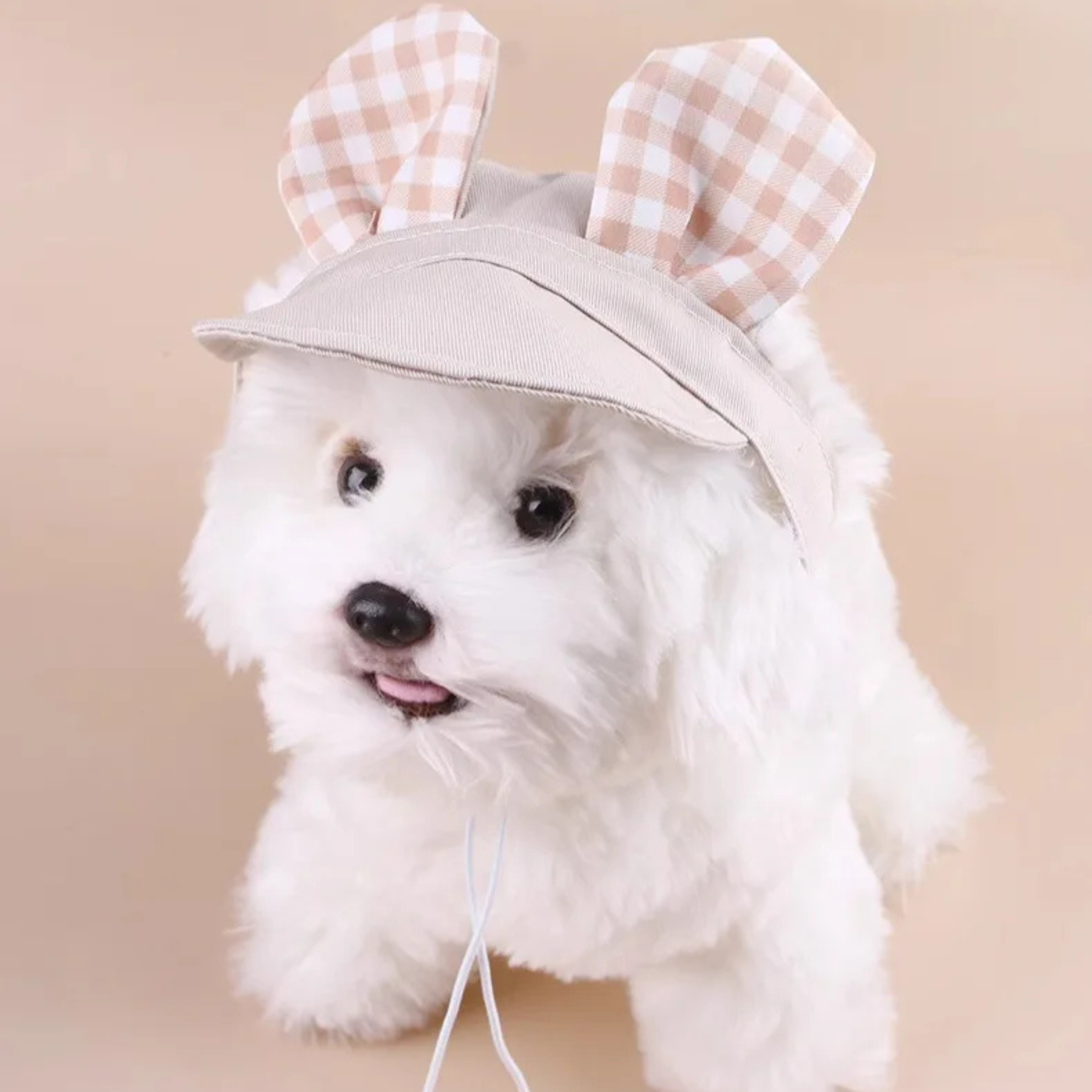 Gorro con Orejas de Conejo