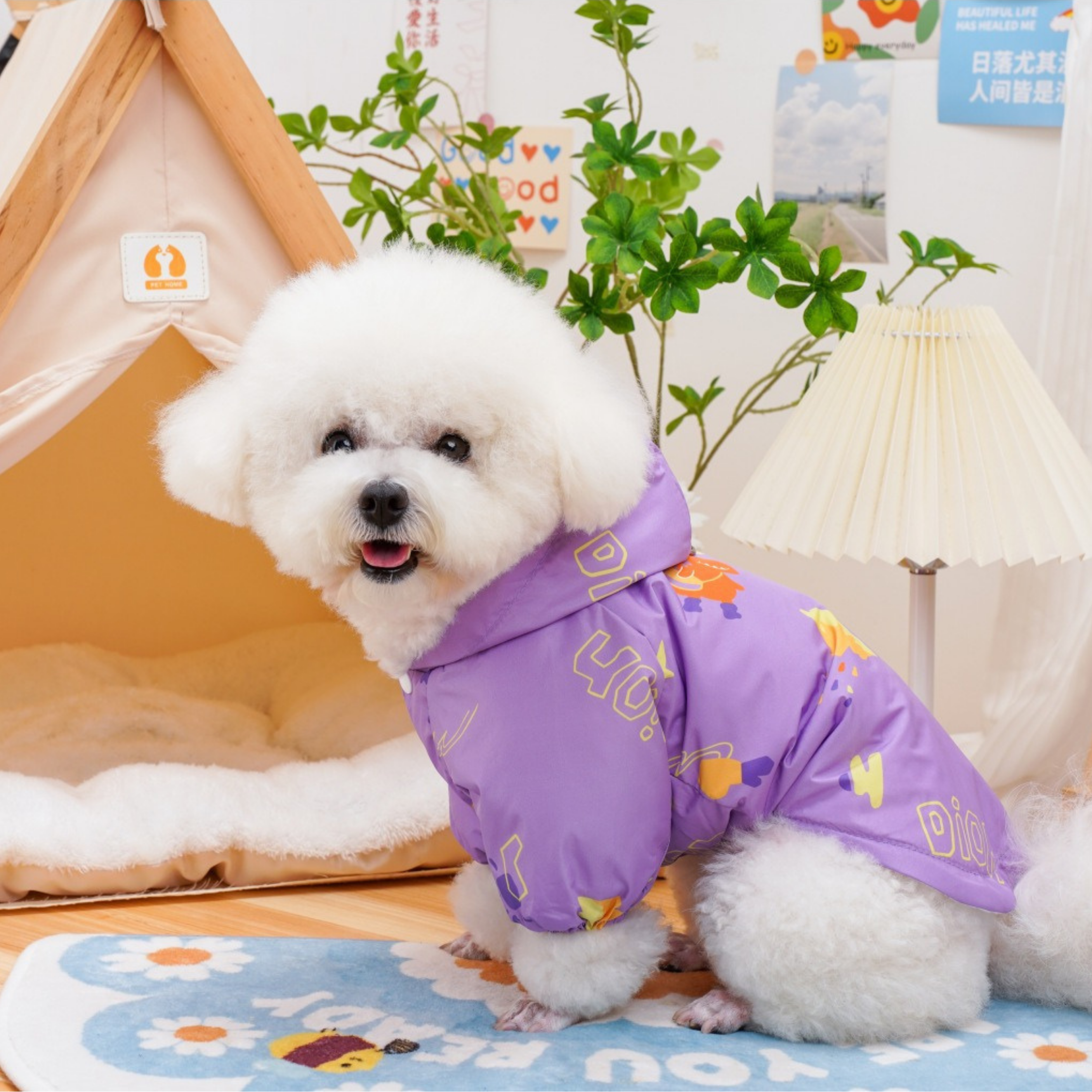 Conjunto Impermeable Colorido RainDay