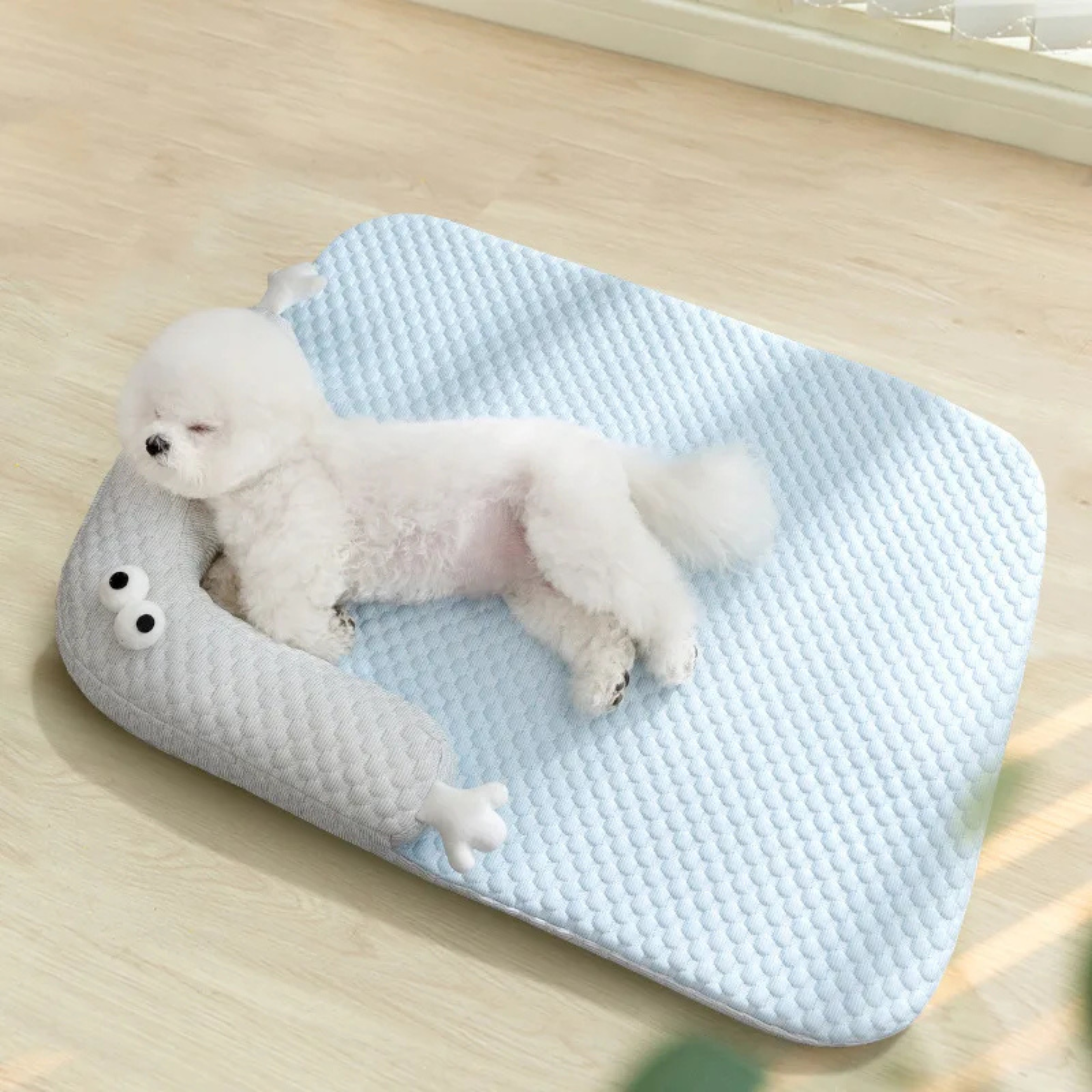 Maltepoodle