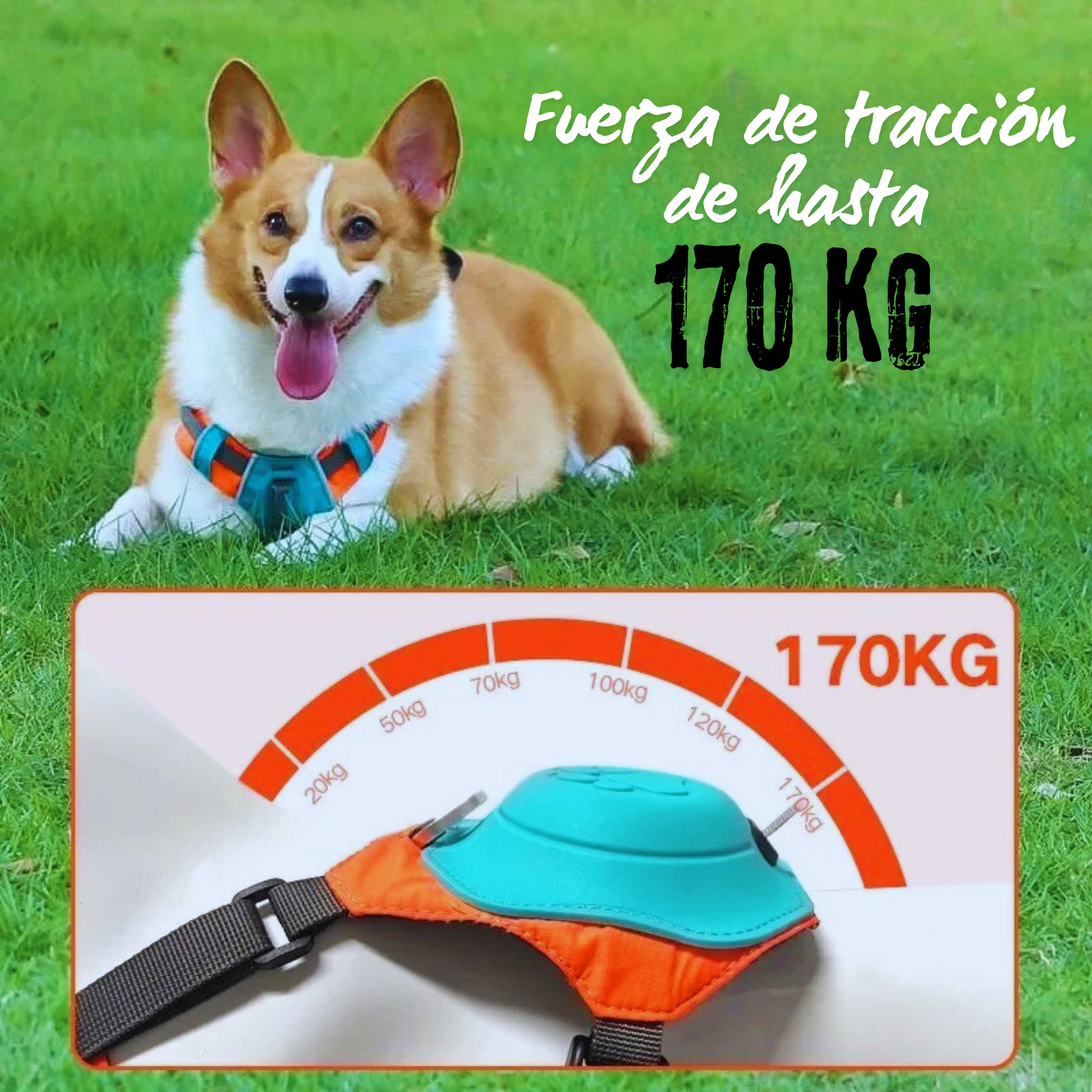 Arnés Multifuncional para Perros
