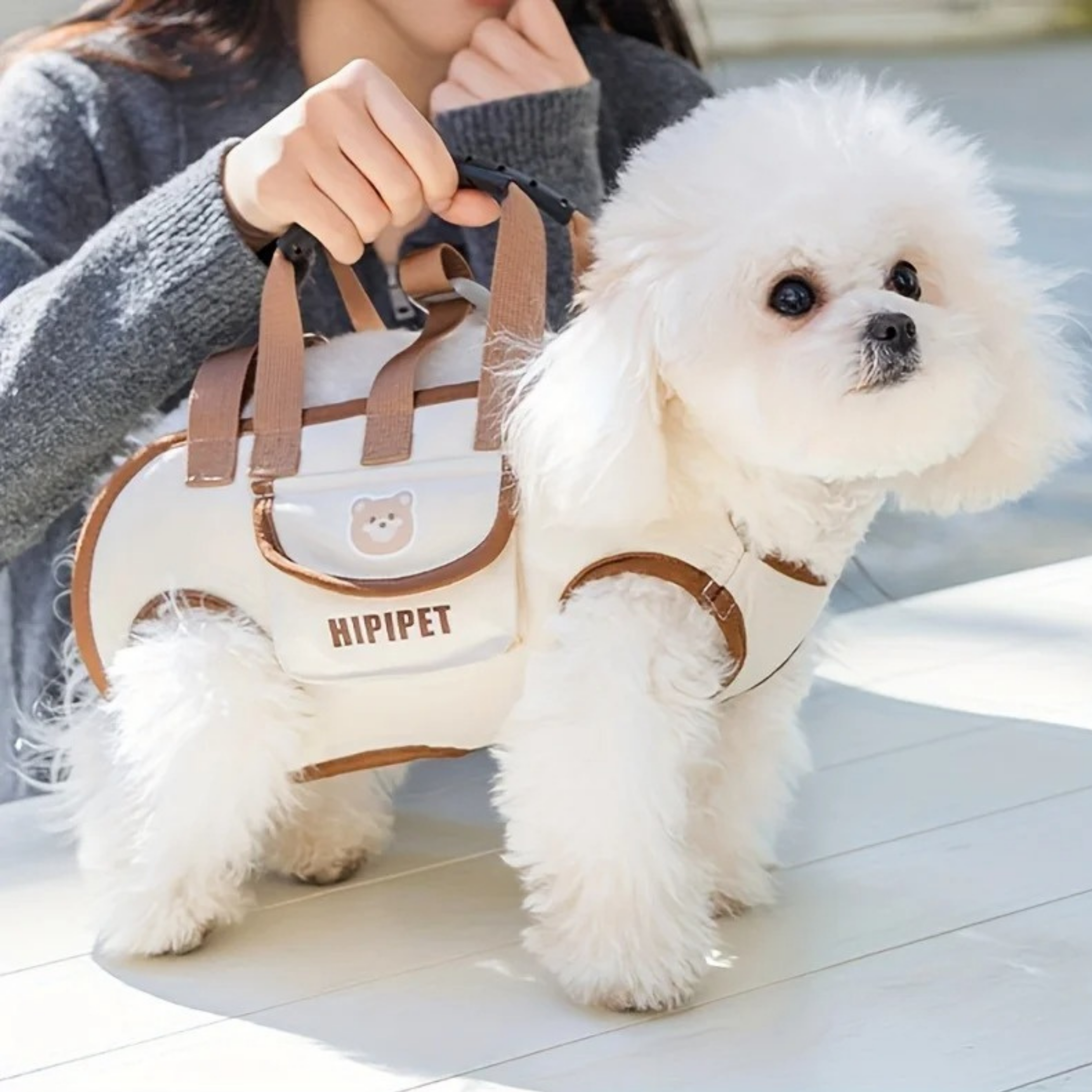 Maltepoodle