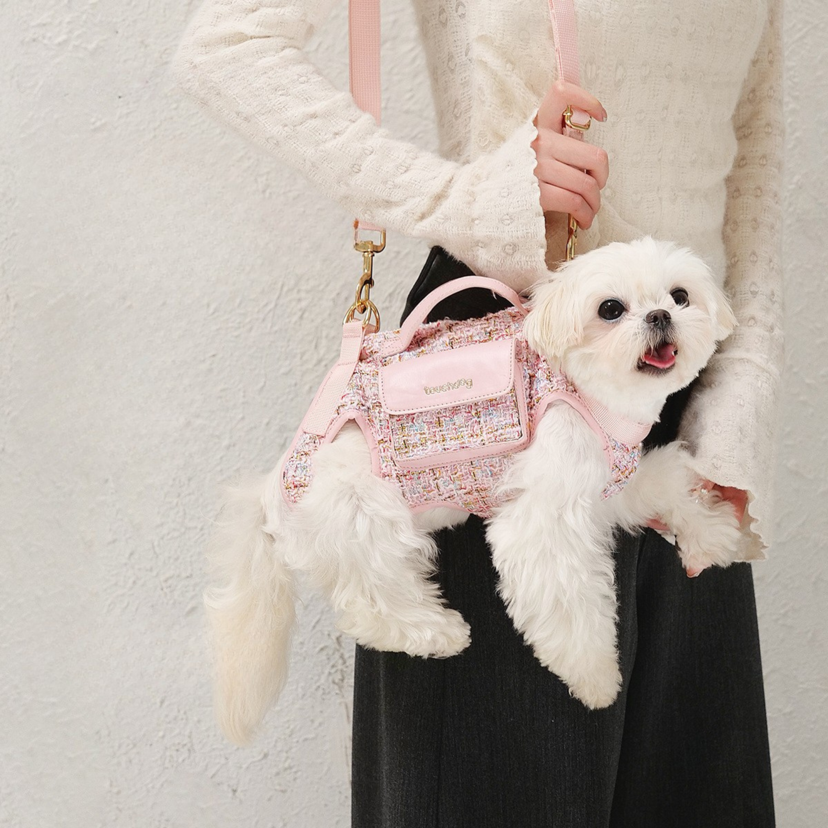 Maltepoodle