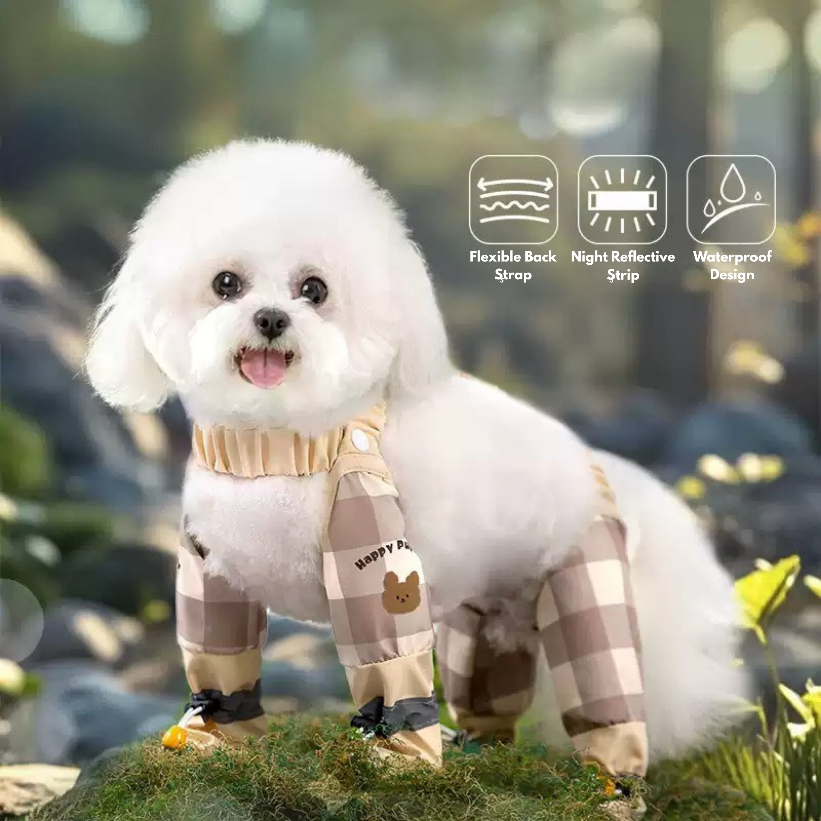 Maltepoodle