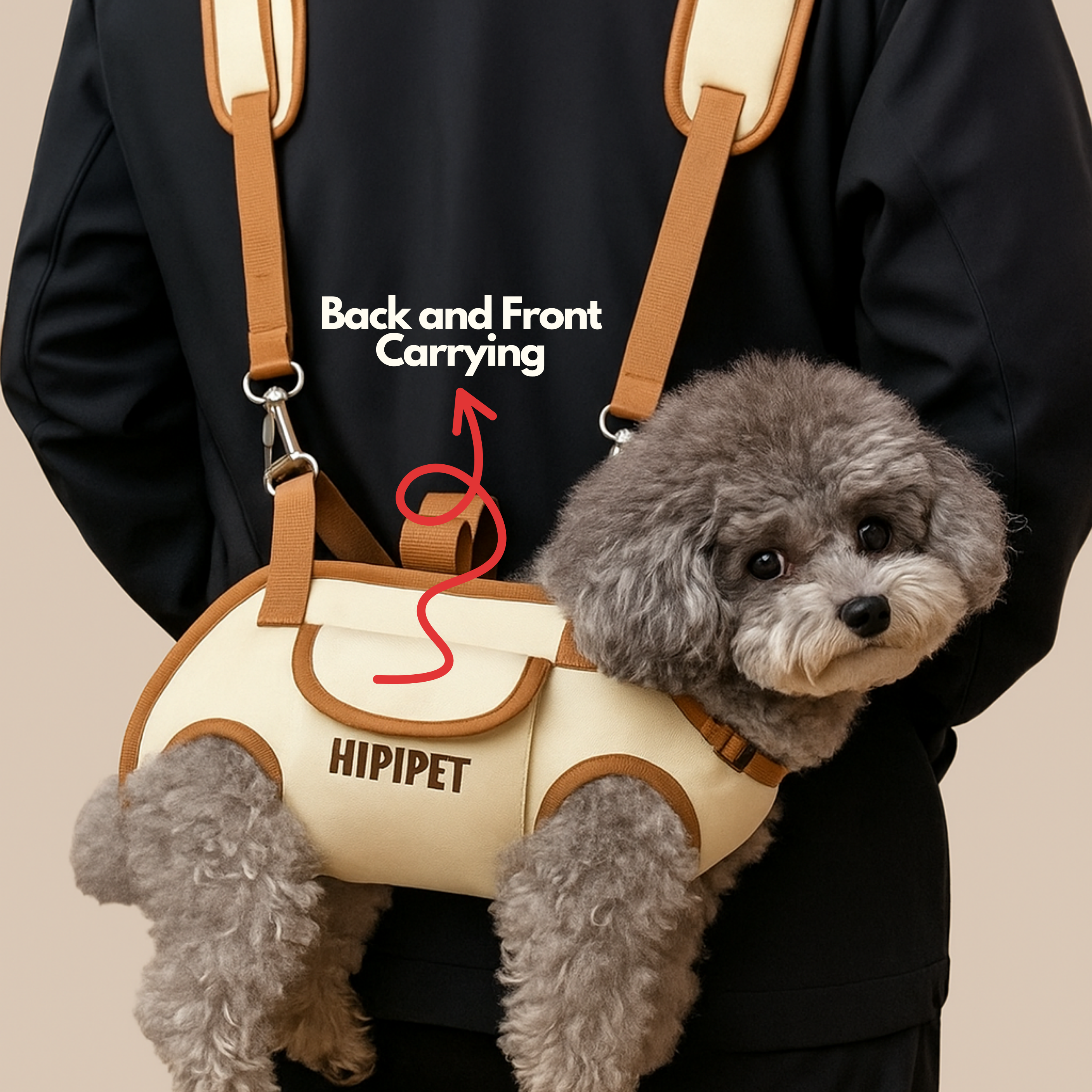 Maltepoodle