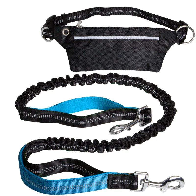 Cinturón Multifuncional para Perros