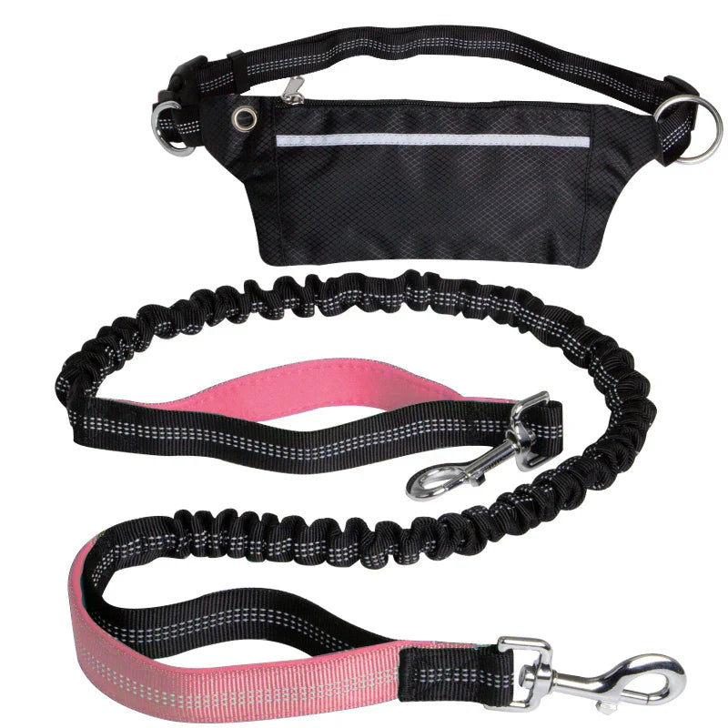 Cinturón Multifuncional para Perros