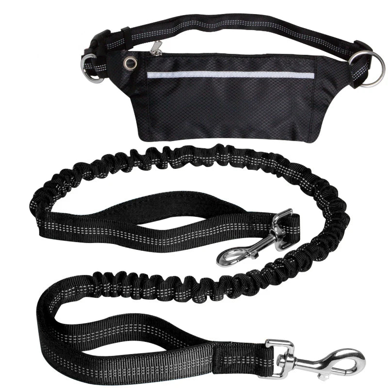 Cinturón Multifuncional para Perros