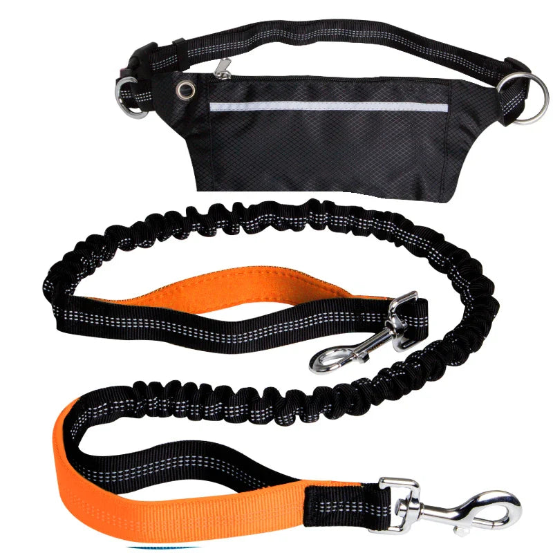 Cinturón Multifuncional para Perros