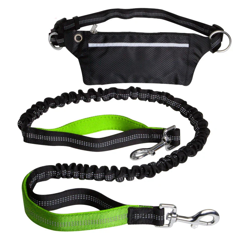 Cinturón Multifuncional para Perros
